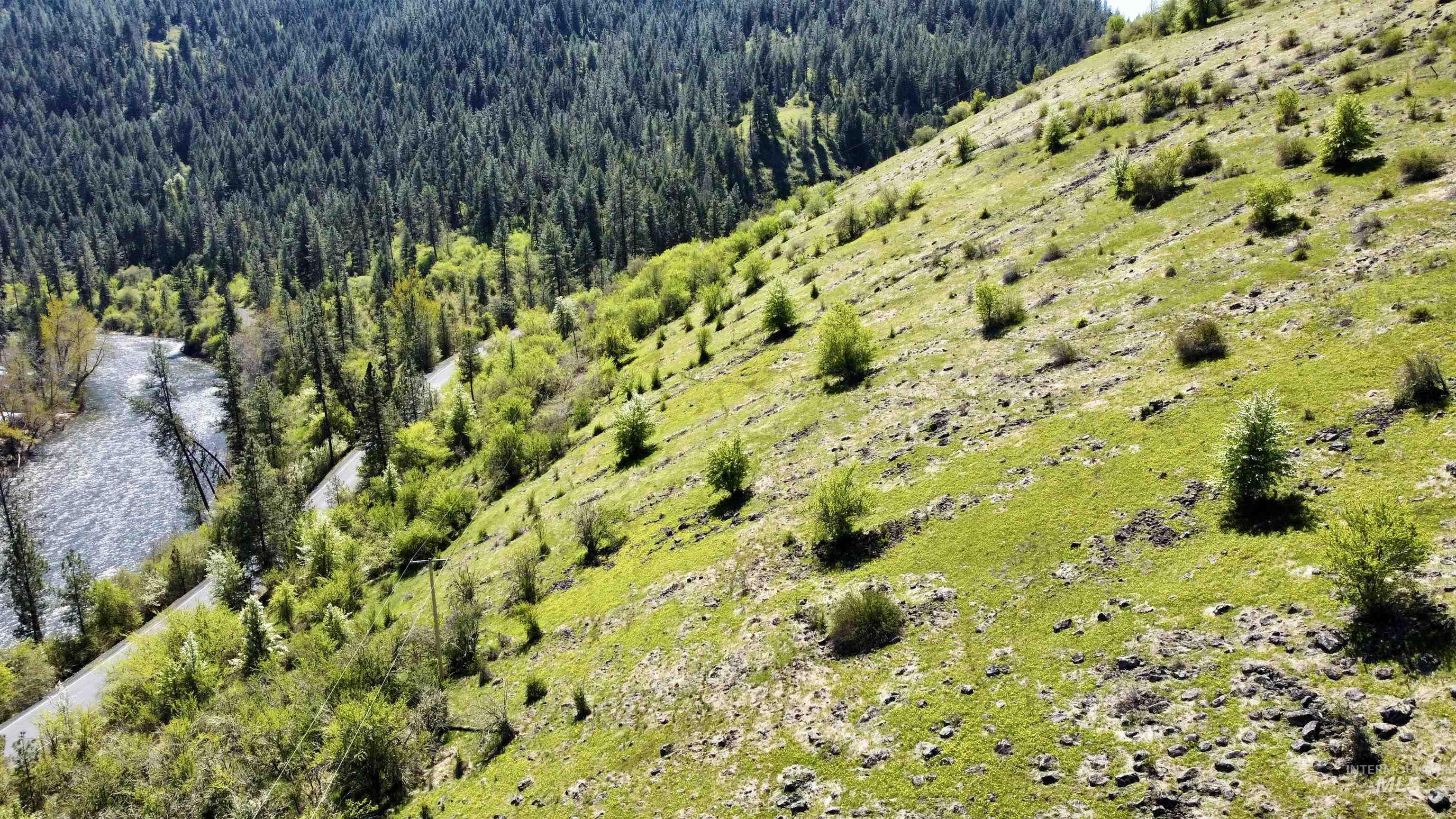 TBD (7AC) Lukes Gulch Rd, Stites, Idaho 83552, Land For Sale, Price $74,000,MLS 98942483