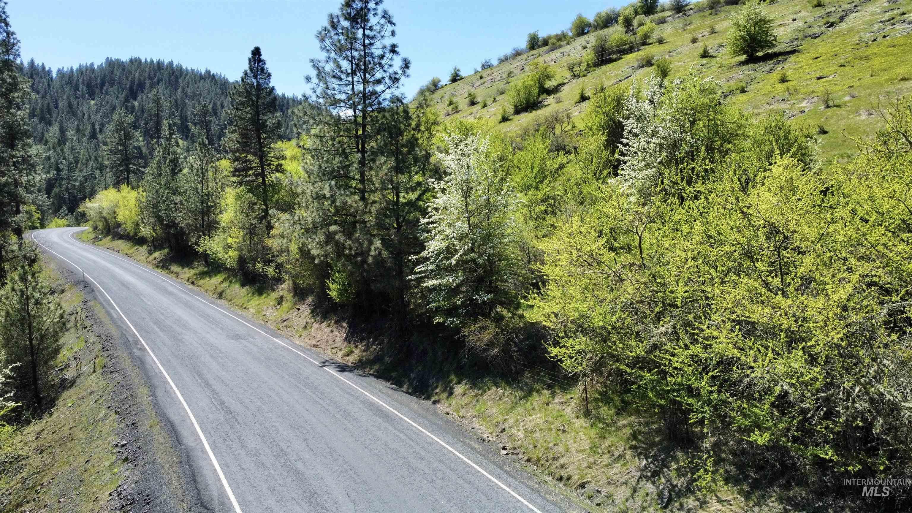 TBD (7AC) Lukes Gulch Rd, Stites, Idaho 83552, Land For Sale, Price $74,000,MLS 98942483