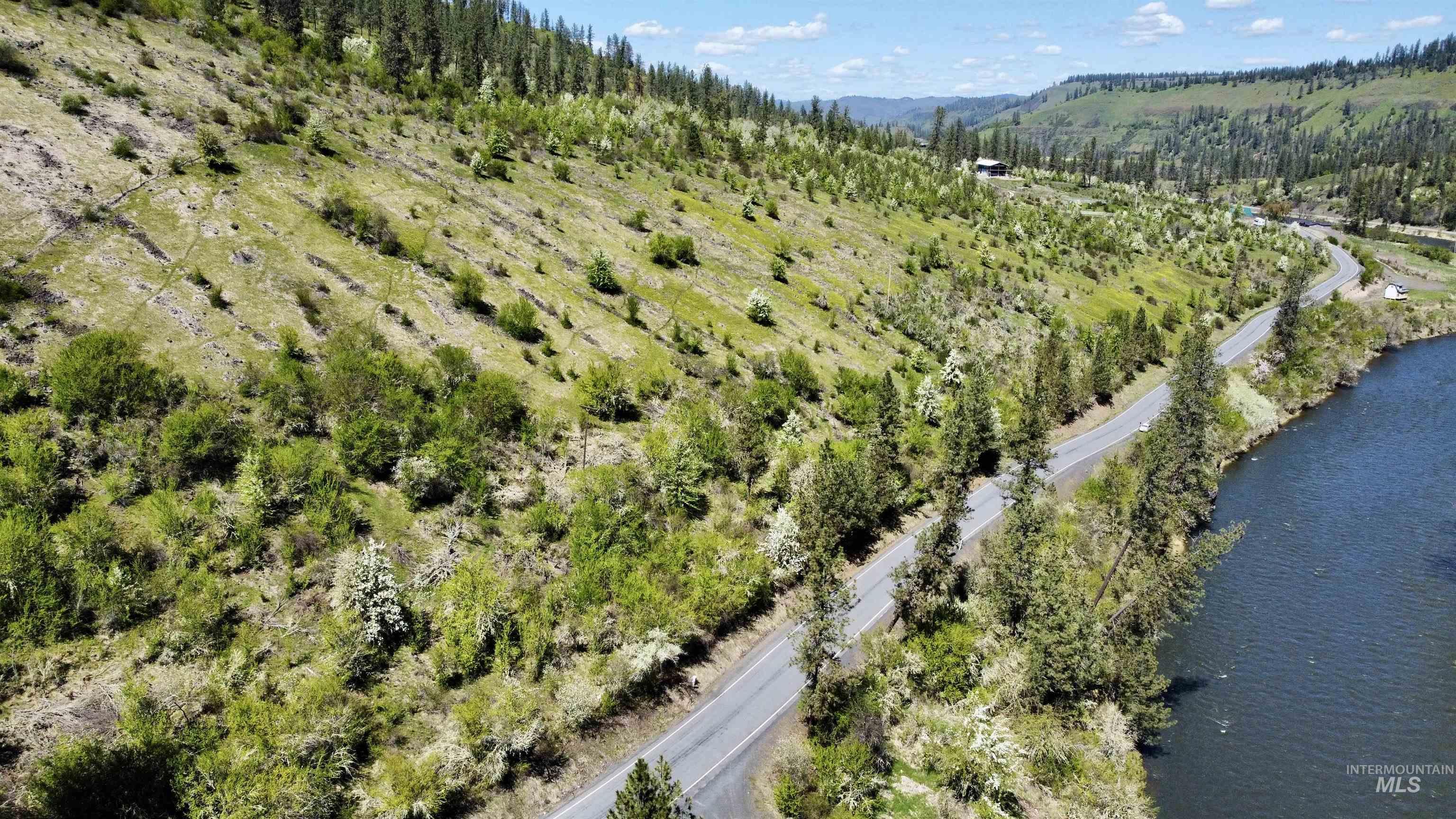 TBD (7AC) Lukes Gulch Rd, Stites, Idaho 83552, Land For Sale, Price $74,000,MLS 98942483