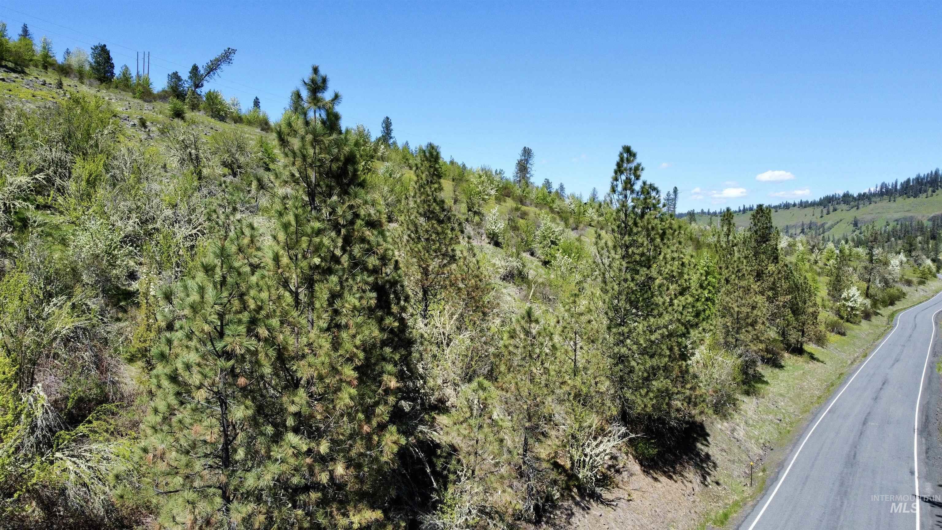 TBD (7AC) Lukes Gulch Rd, Stites, Idaho 83552, Land For Sale, Price $74,000,MLS 98942483