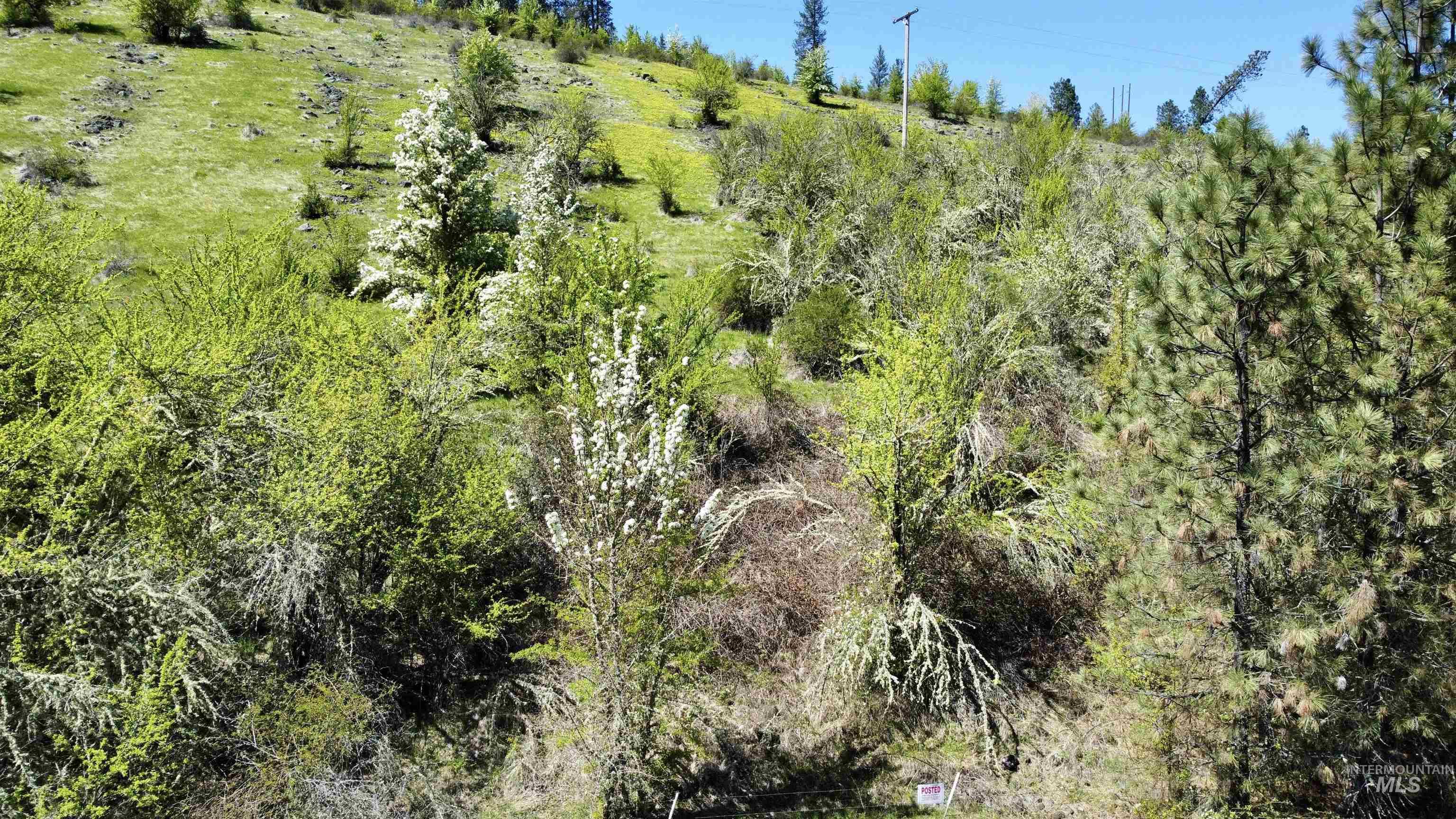 TBD (7AC) Lukes Gulch Rd, Stites, Idaho 83552, Land For Sale, Price $74,000,MLS 98942483