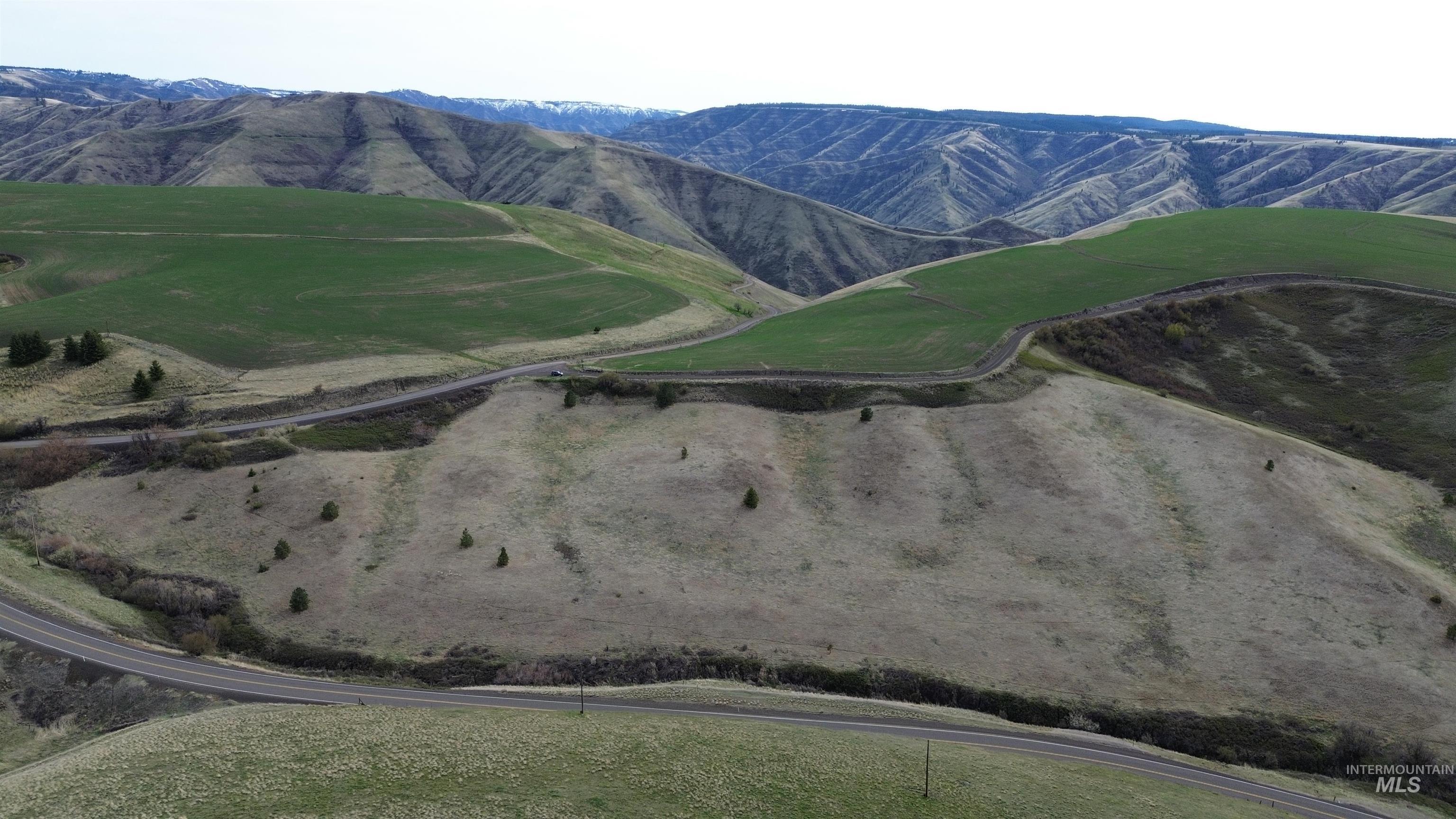 NKA Blindgrade Rd- Lot 3, Pomeroy, Washington 99327, Land For Sale, Price $169,000,MLS 98942706