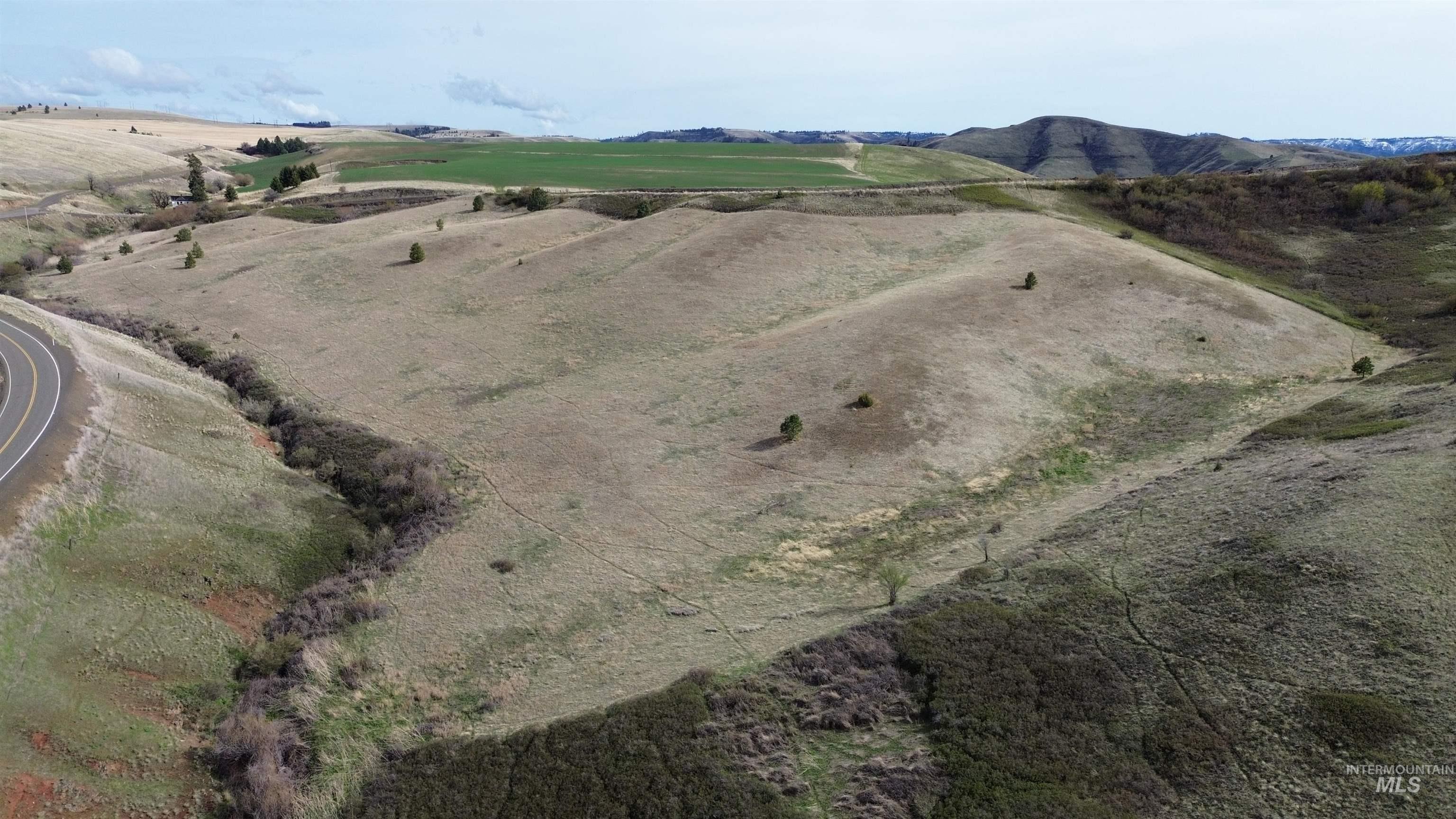 NKA Blindgrade Rd- Lot 3, Pomeroy, Washington 99327, Land For Sale, Price $169,000,MLS 98942706