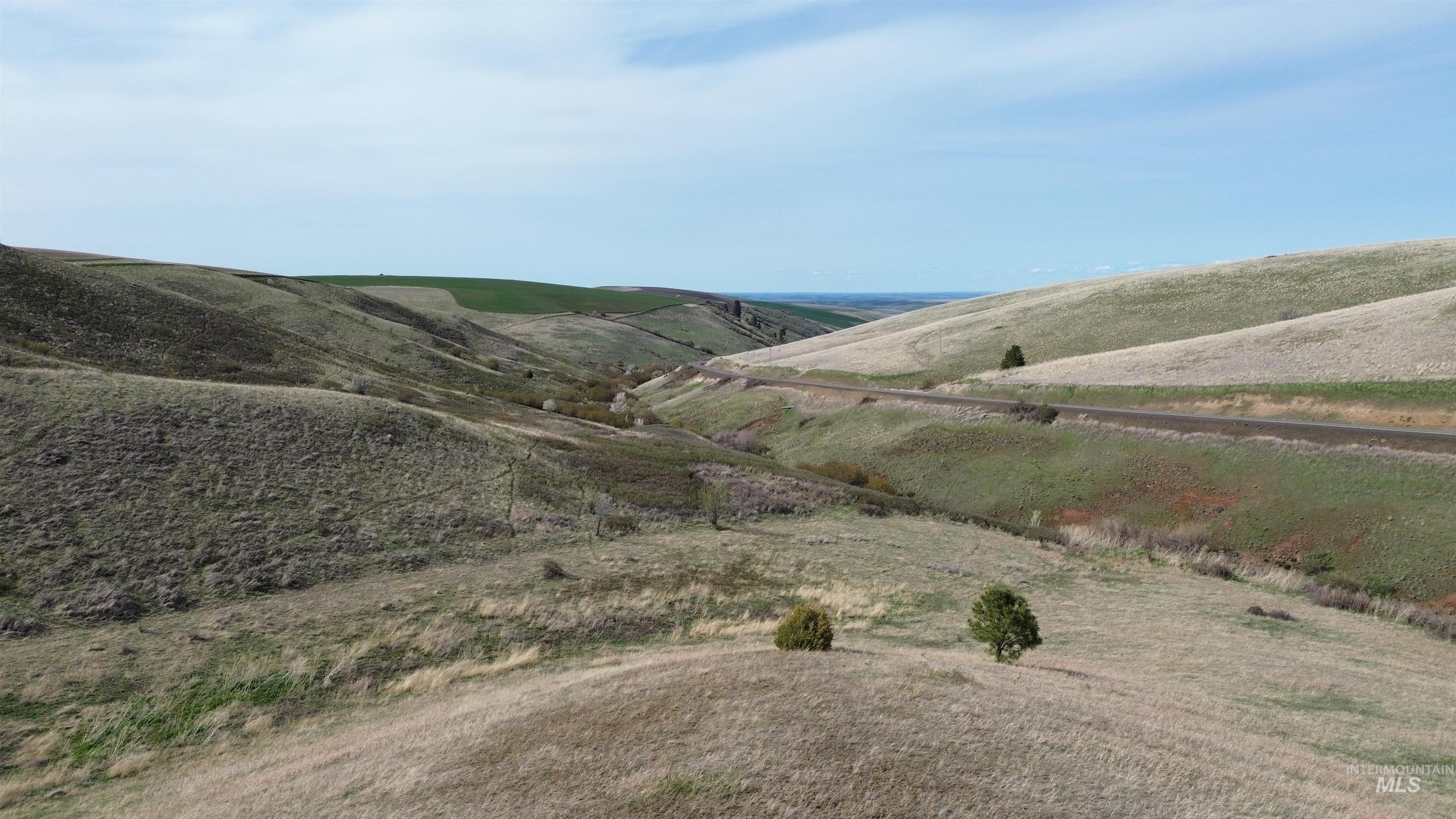 NKA Blindgrade Rd- Lot 3, Pomeroy, Washington 99327, Land For Sale, Price $169,000,MLS 98942706