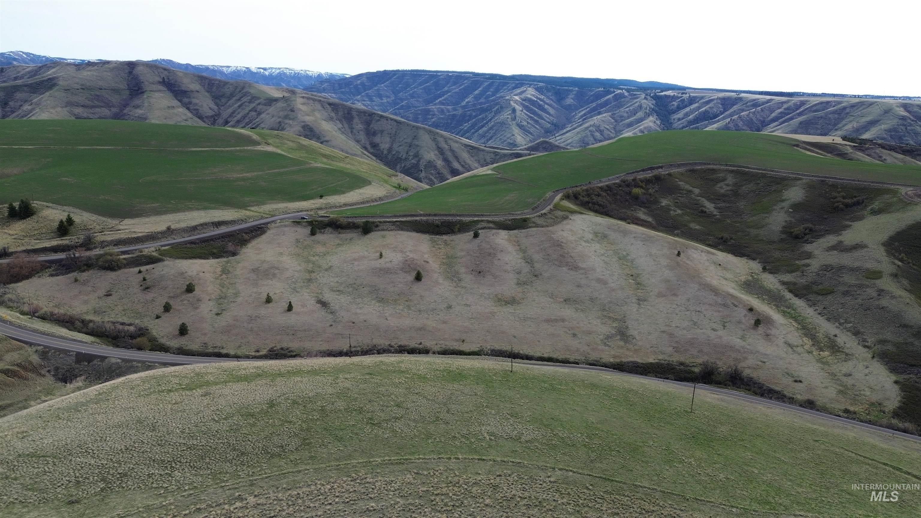 NKA Blindgrade Rd- Lot 3, Pomeroy, Washington 99327, Land For Sale, Price $169,000,MLS 98942706