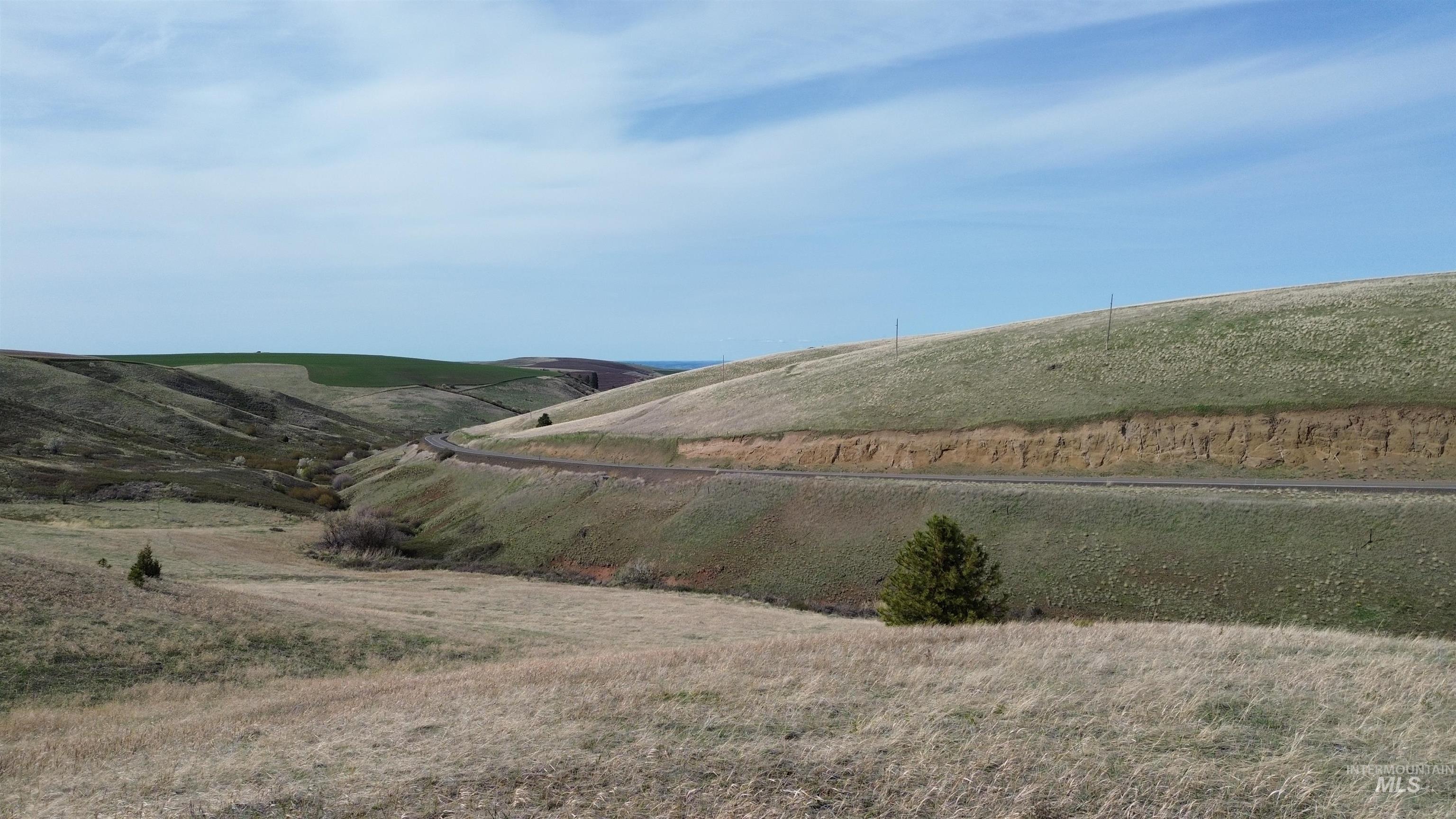 NKA Blindgrade Rd- Lot 3, Pomeroy, Washington 99327, Land For Sale, Price $169,000,MLS 98942706