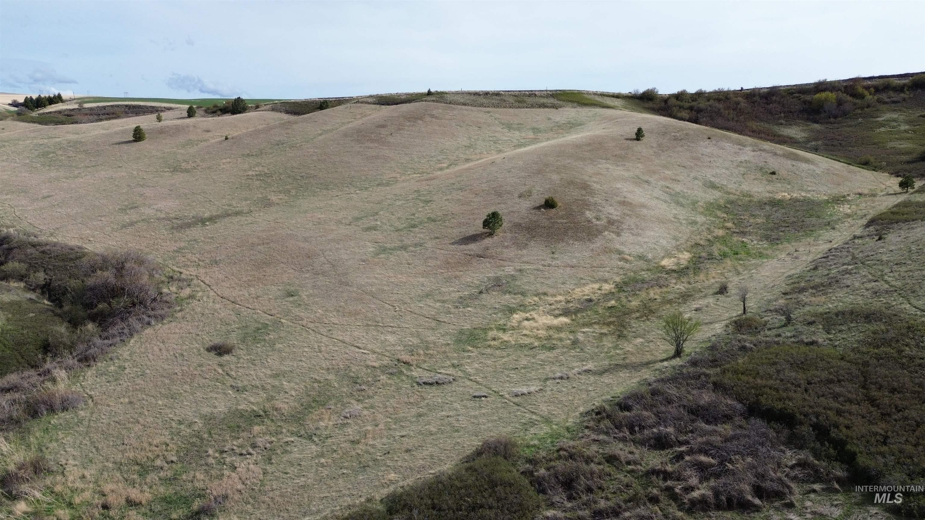 NKA Blindgrade Rd- Lot 3, Pomeroy, Washington 99327, Land For Sale, Price $169,000,MLS 98942706