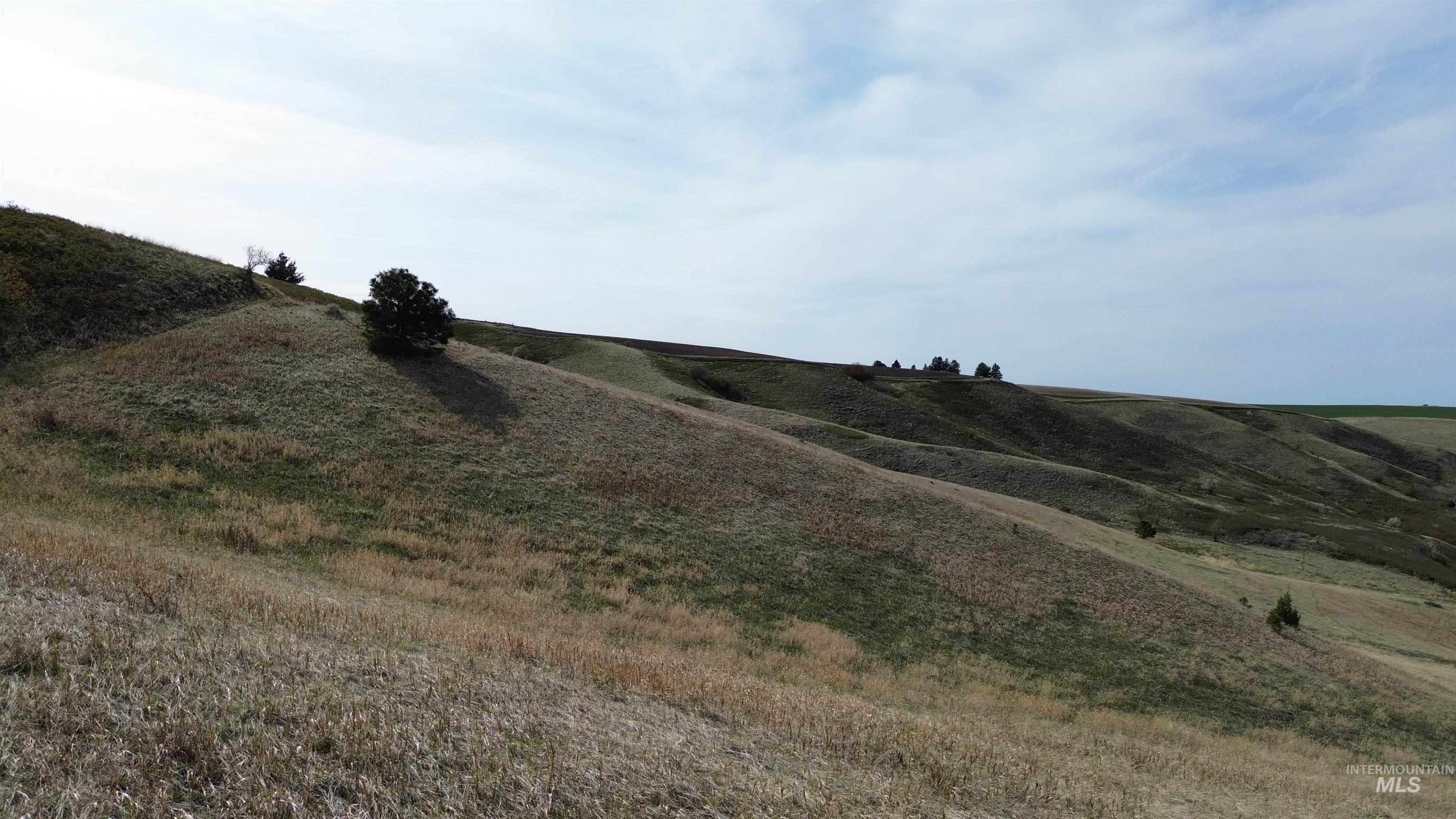 NKA Blindgrade Rd- Lot 3, Pomeroy, Washington 99327, Land For Sale, Price $169,000,MLS 98942706