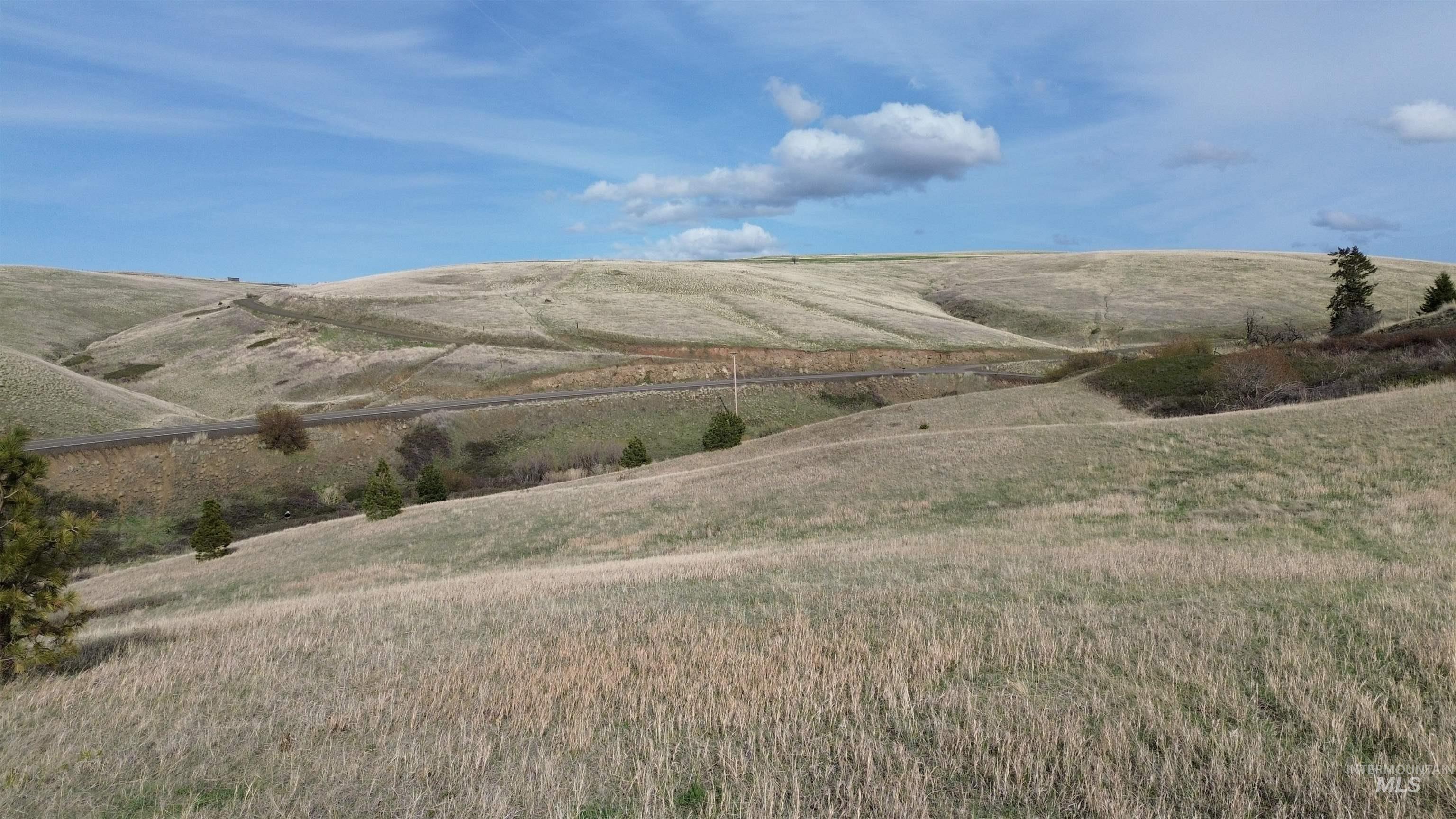 NKA Blindgrade Rd- Lot 3, Pomeroy, Washington 99327, Land For Sale, Price $169,000,MLS 98942706