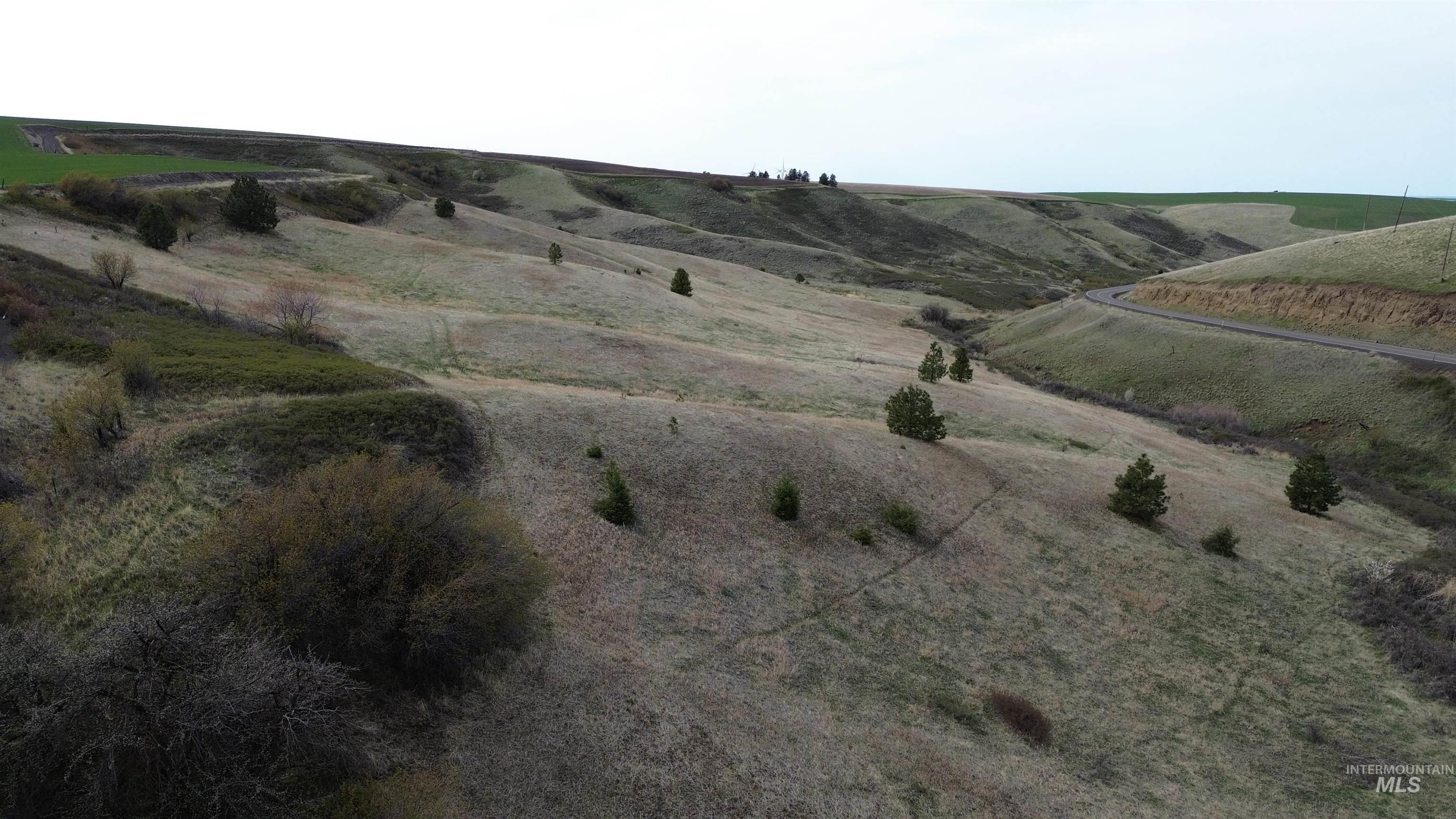 NKA Blindgrade Rd- Lot 3, Pomeroy, Washington 99327, Land For Sale, Price $169,000,MLS 98942706