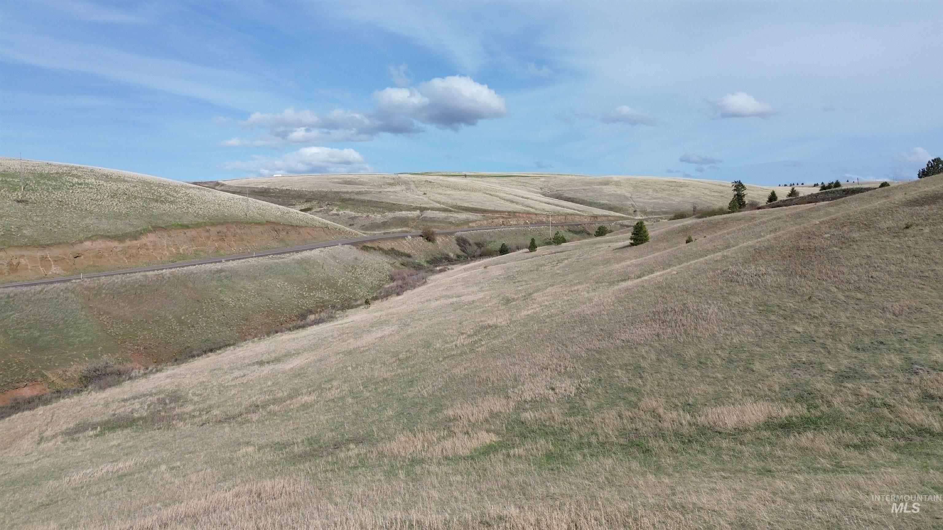 NKA Blindgrade Rd- Lot 3, Pomeroy, Washington 99327, Land For Sale, Price $169,000,MLS 98942706