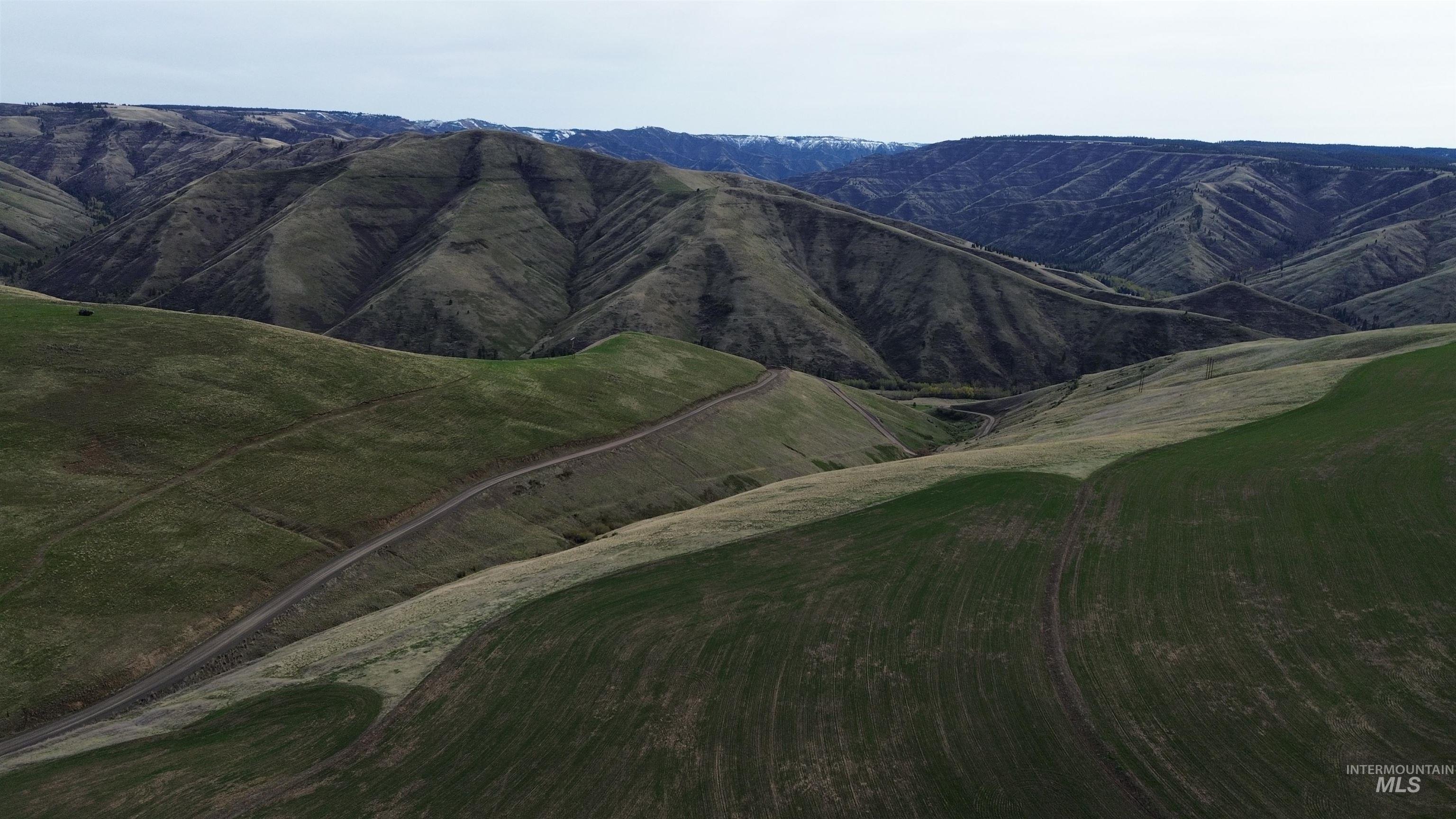 NKA Blindgrade Rd LOT 4, Pomeroy, Washington 99327, Land For Sale, Price $85,000,MLS 98942737