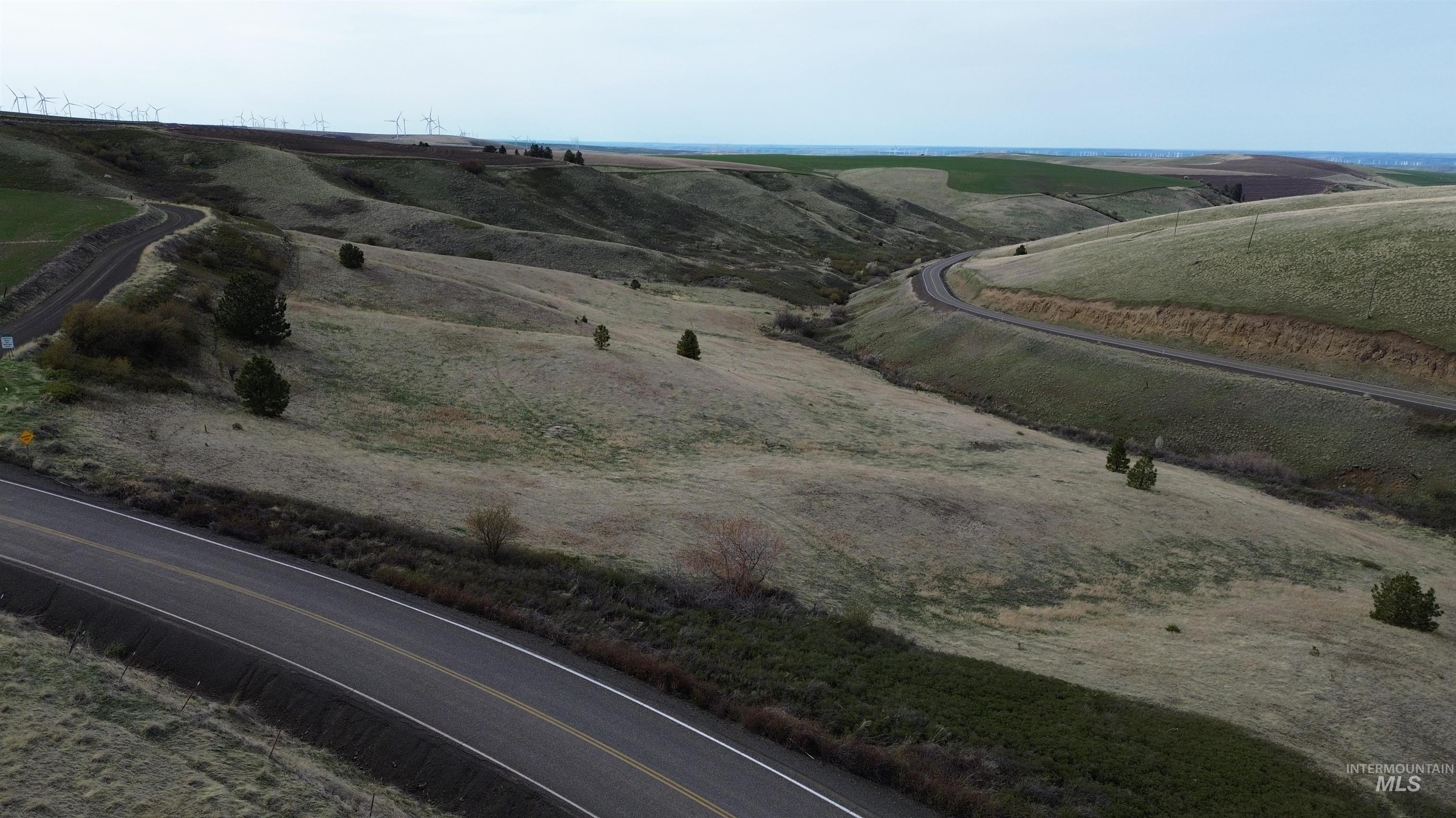 NKA Blindgrade Rd LOT 4, Pomeroy, Washington 99327, Land For Sale, Price $85,000,MLS 98942737