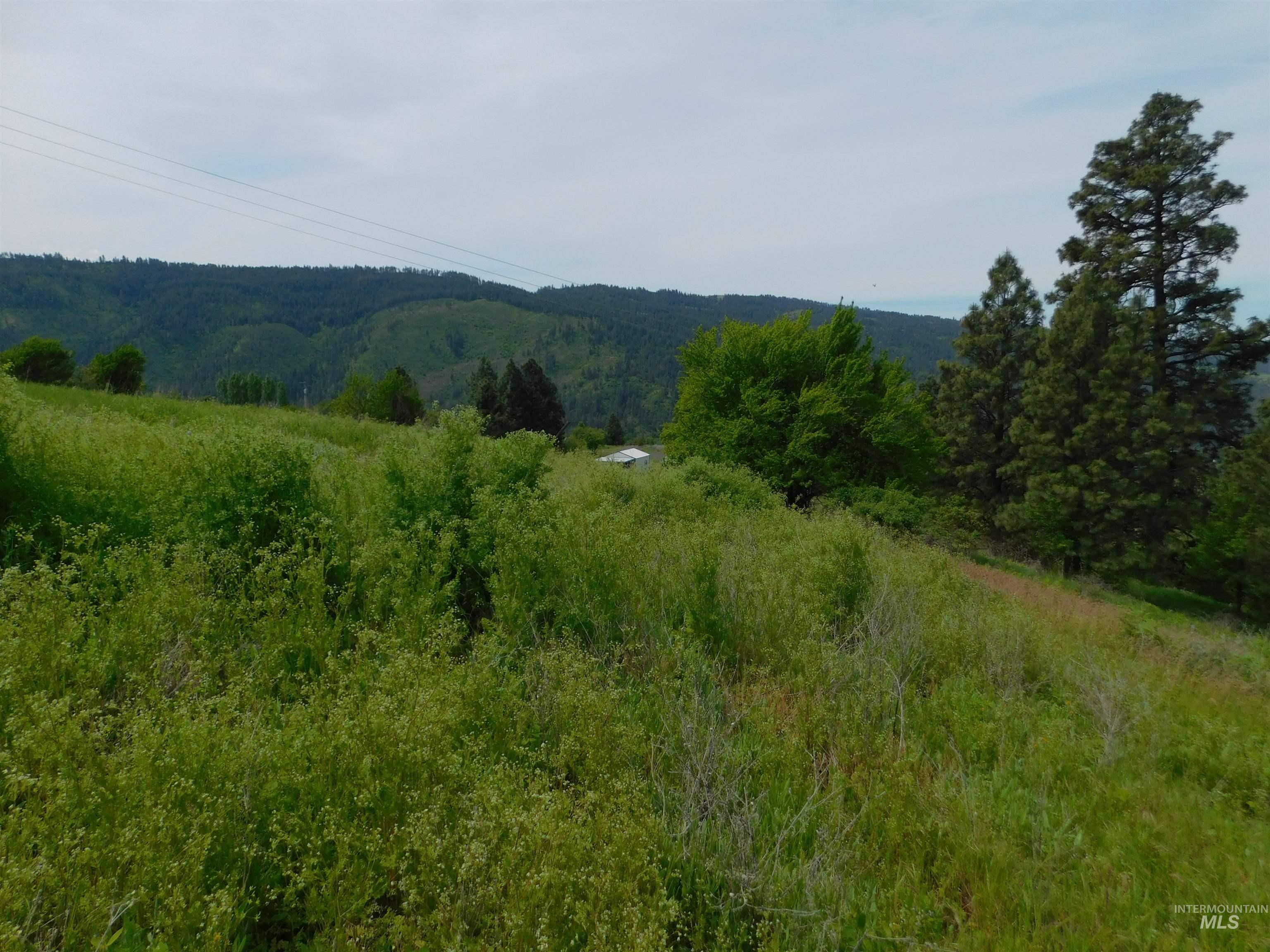 TBD Sunnyside Bench Rd., Lenore, Idaho 83541, Land For Sale, Price $129,900, 98942816