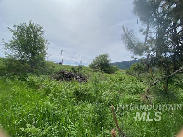 TBD Sunnyside Bench Rd., Lenore, Idaho 83541, Land For Sale, Price $129,900, 98942816