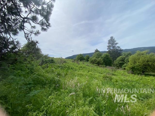 TBD Sunnyside Bench Rd., Lenore, Idaho 83541, Land For Sale, Price $129,900, 98942816