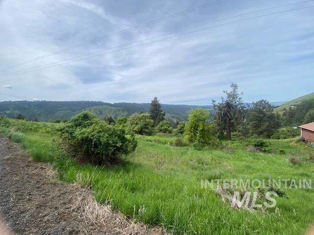 TBD Sunnyside Bench Rd., Lenore, Idaho 83541, Land For Sale, Price $129,900, 98942816