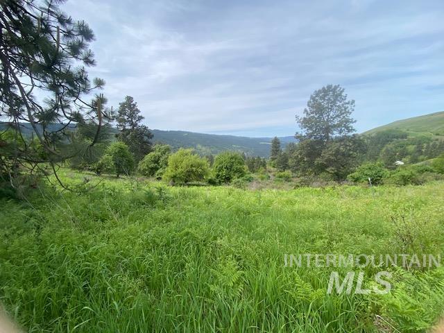 TBD Sunnyside Bench Rd., Lenore, Idaho 83541, Land For Sale, Price $129,900, 98942816