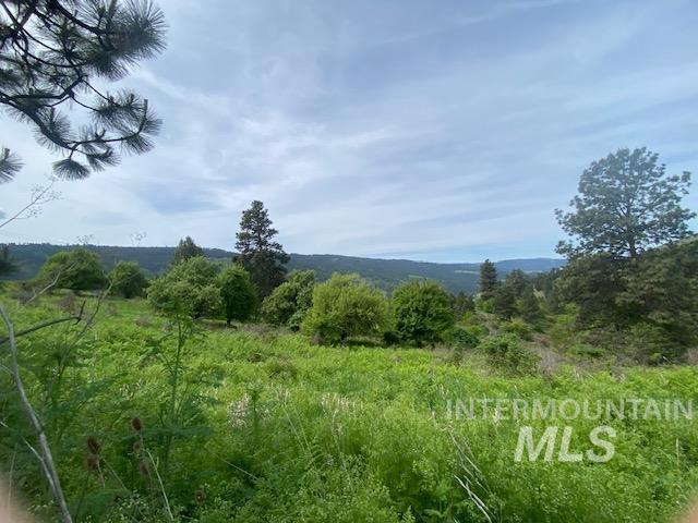 TBD Sunnyside Bench Rd., Lenore, Idaho 83541, Land For Sale, Price $129,900, 98942816