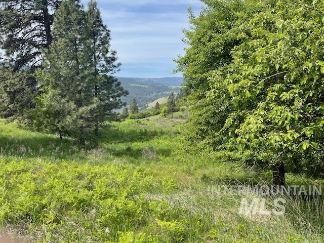 TBD Sunnyside Bench Rd., Lenore, Idaho 83541, Land For Sale, Price $129,900, 98942816