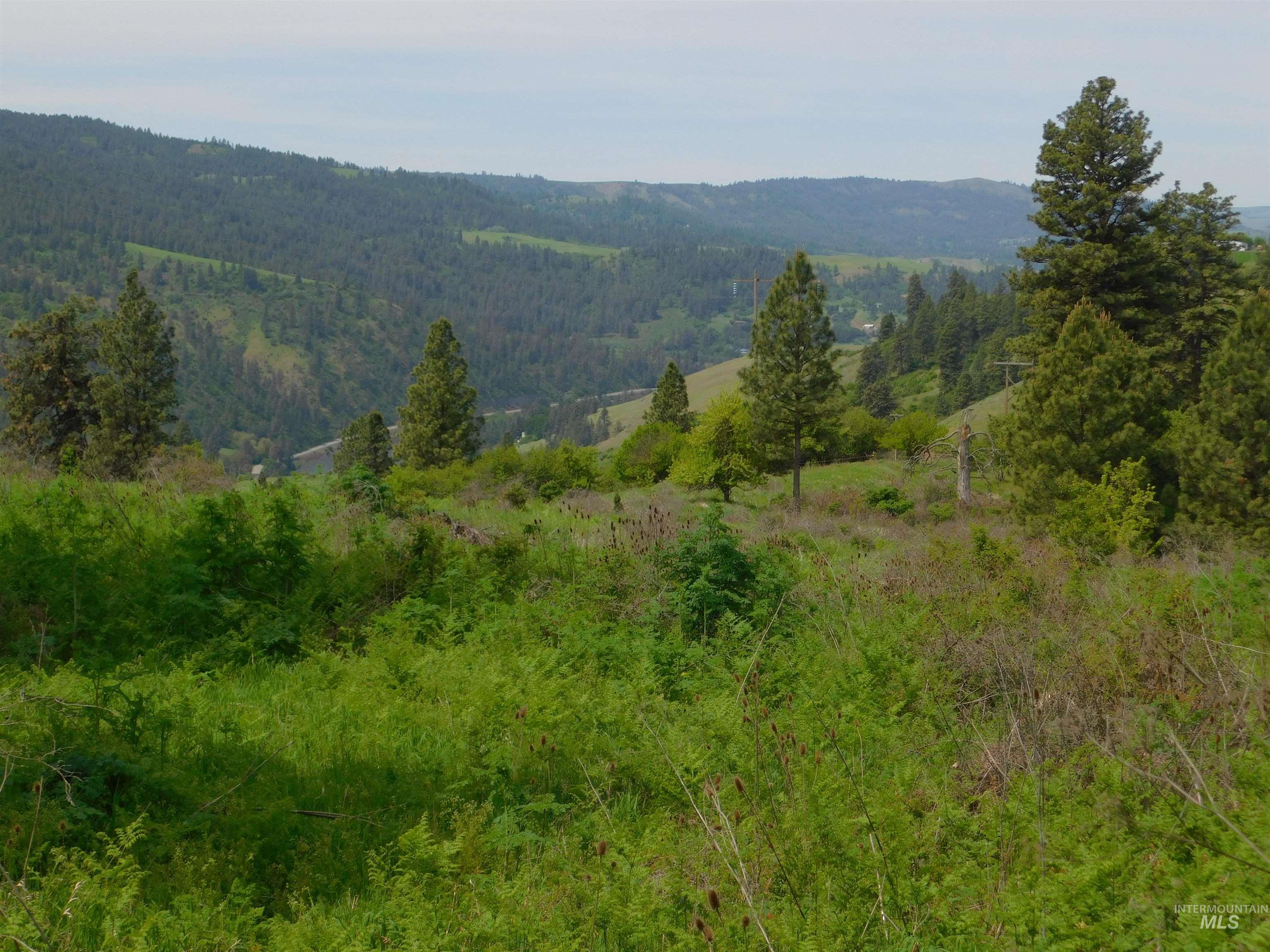 TBD Sunnyside Bench Rd., Lenore, Idaho 83541, Land For Sale, Price $129,900, 98942816