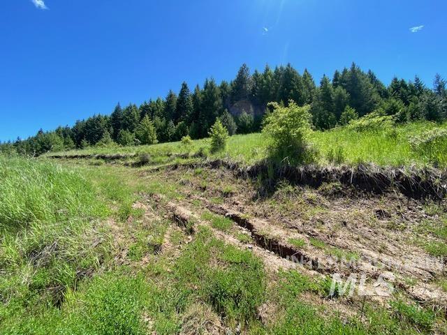 Lot 25 Shenandoah, Kamiah, Idaho 83536, Land For Sale, Price $119,900, 98942817