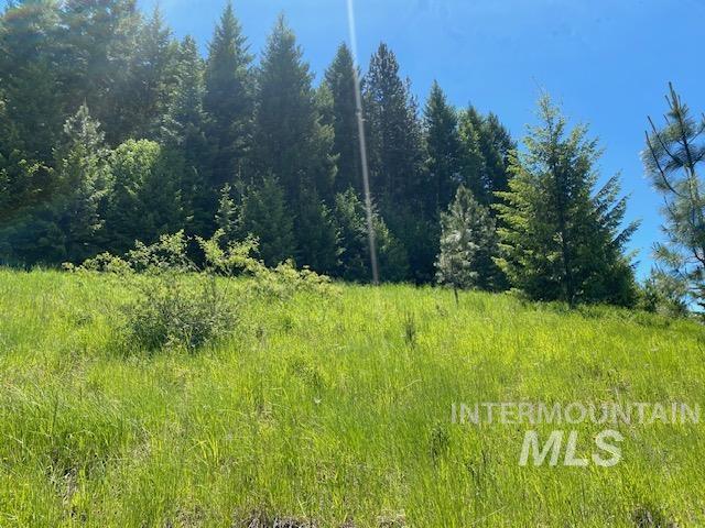 Lot 25 Shenandoah, Kamiah, Idaho 83536, Land For Sale, Price $119,900, 98942817