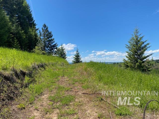 Lot 25 Shenandoah, Kamiah, Idaho 83536, Land For Sale, Price $119,900, 98942817