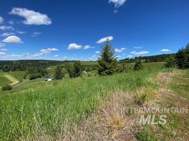 Lot 25 Shenandoah, Kamiah, Idaho 83536, Land For Sale, Price $119,900, 98942817