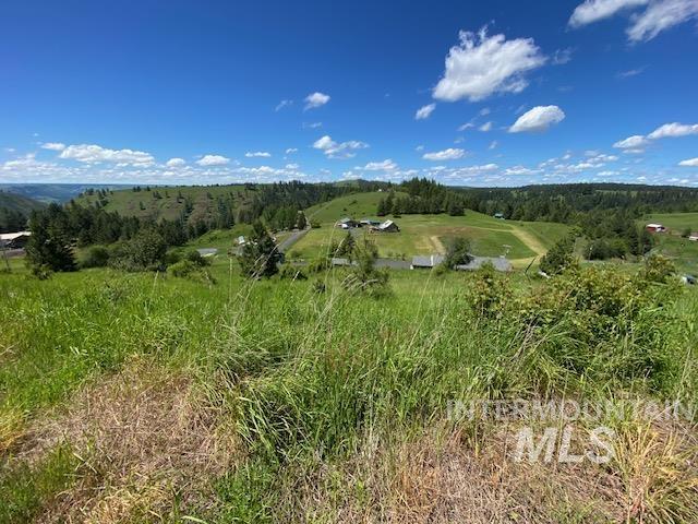 Lot 25 Shenandoah, Kamiah, Idaho 83536, Land For Sale, Price $119,900, 98942817