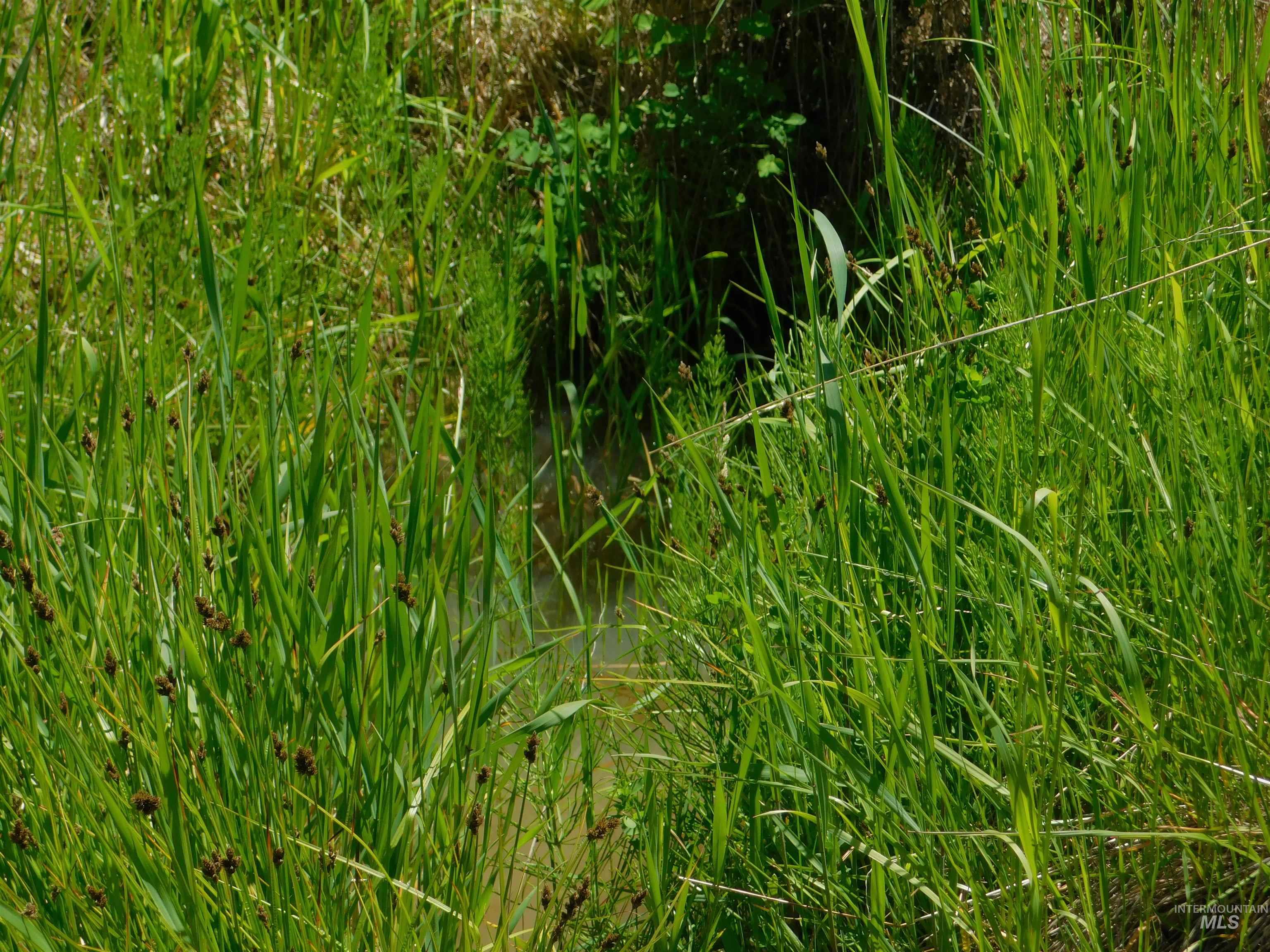 Lot 25 Shenandoah, Kamiah, Idaho 83536, Land For Sale, Price $119,900, 98942817