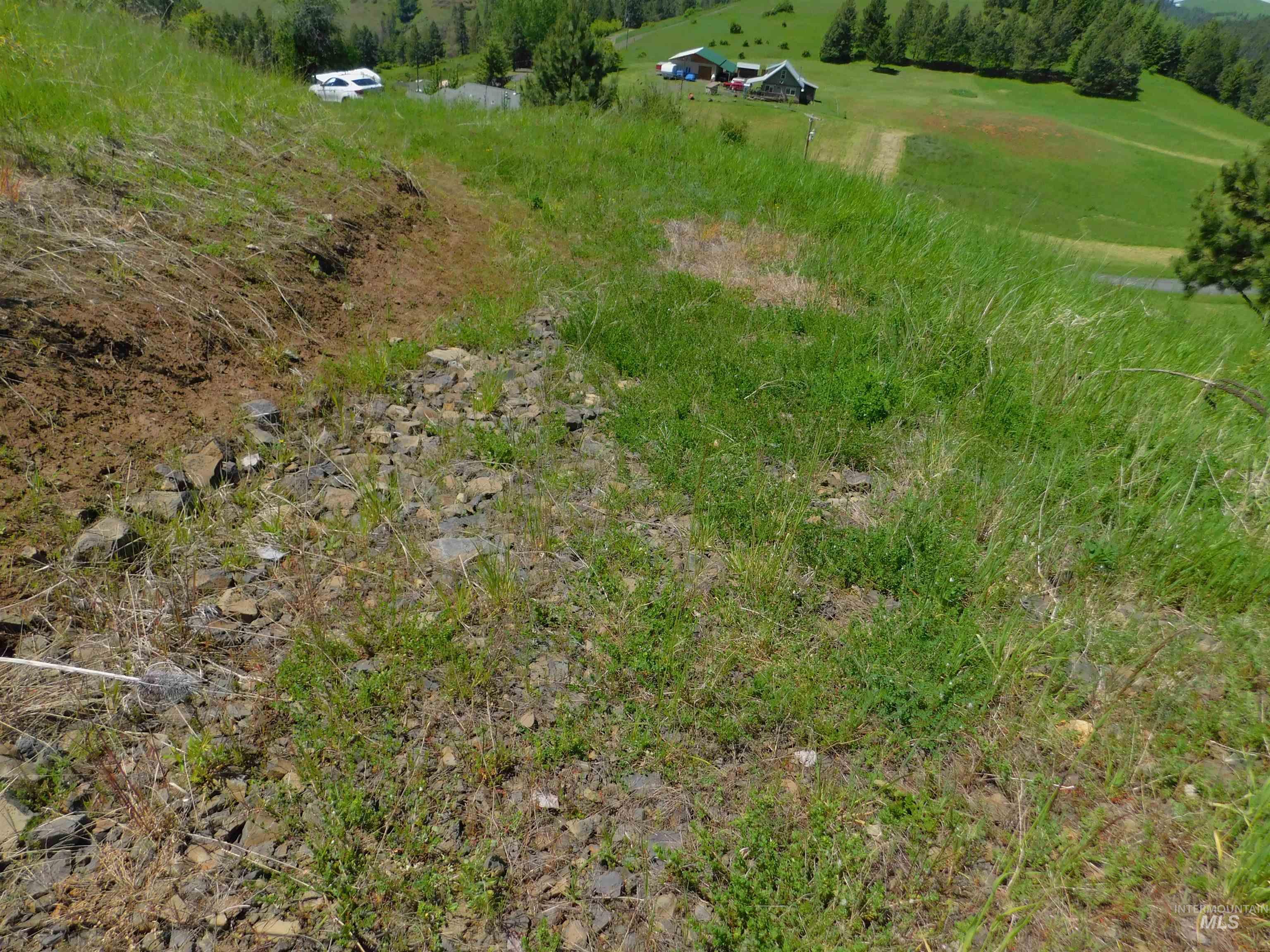 Lot 25 Shenandoah, Kamiah, Idaho 83536, Land For Sale, Price $119,900, 98942817