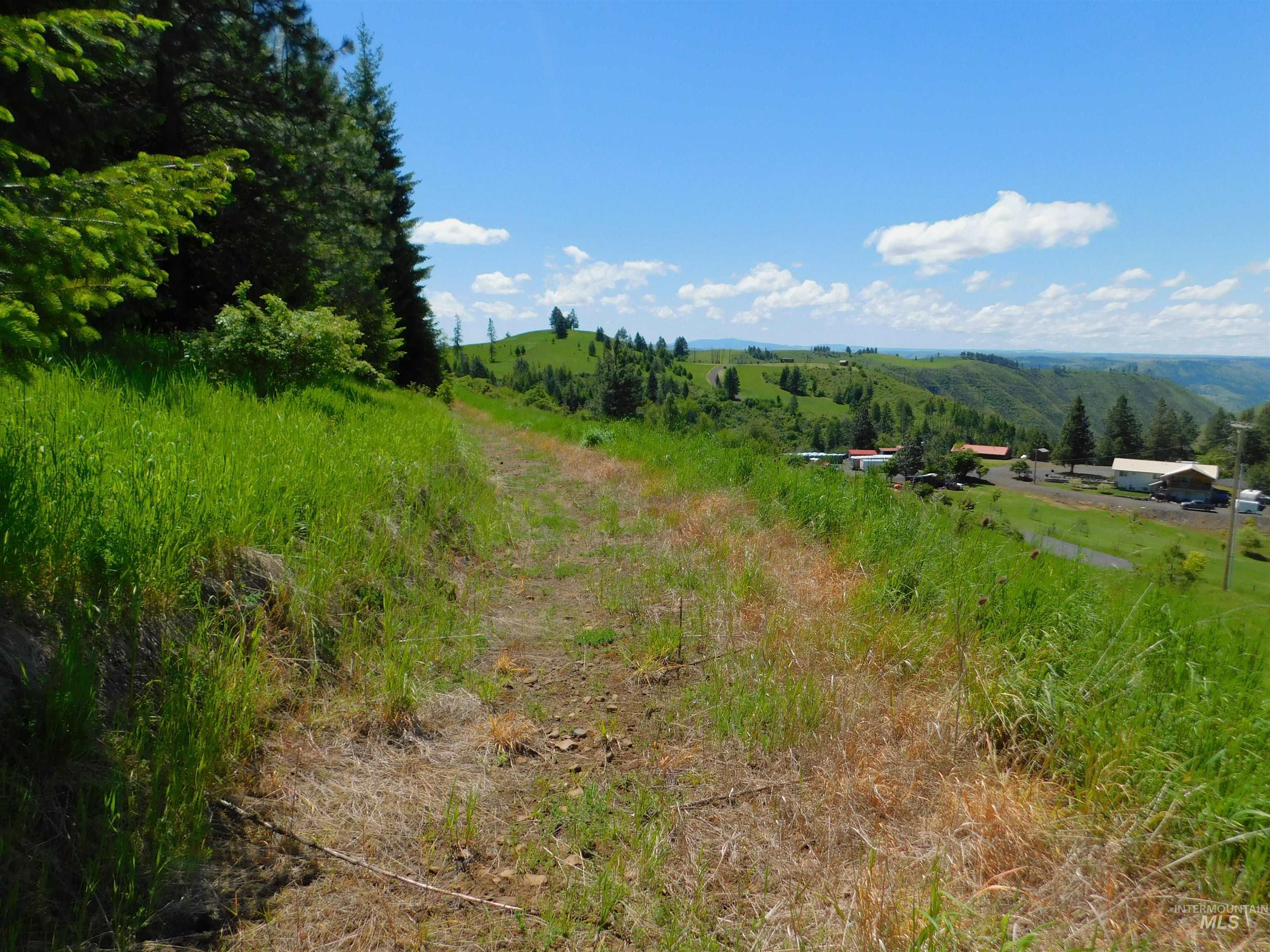 Lot 25 Shenandoah, Kamiah, Idaho 83536, Land For Sale, Price $119,900, 98942817