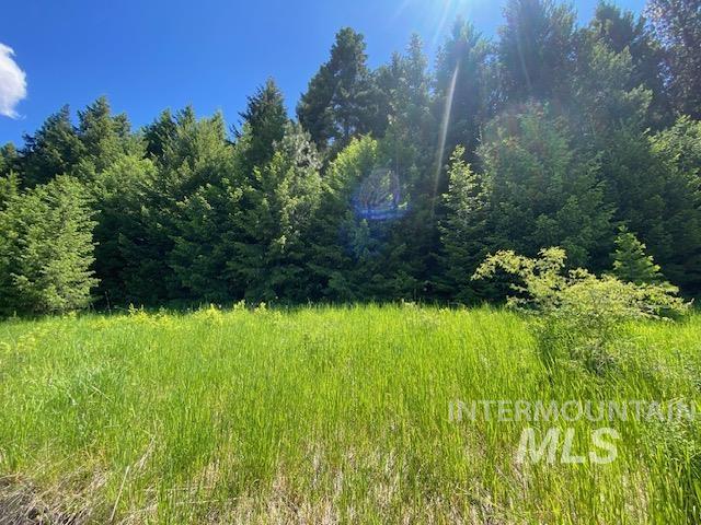 Lot 25 Shenandoah, Kamiah, Idaho 83536, Land For Sale, Price $119,900, 98942817