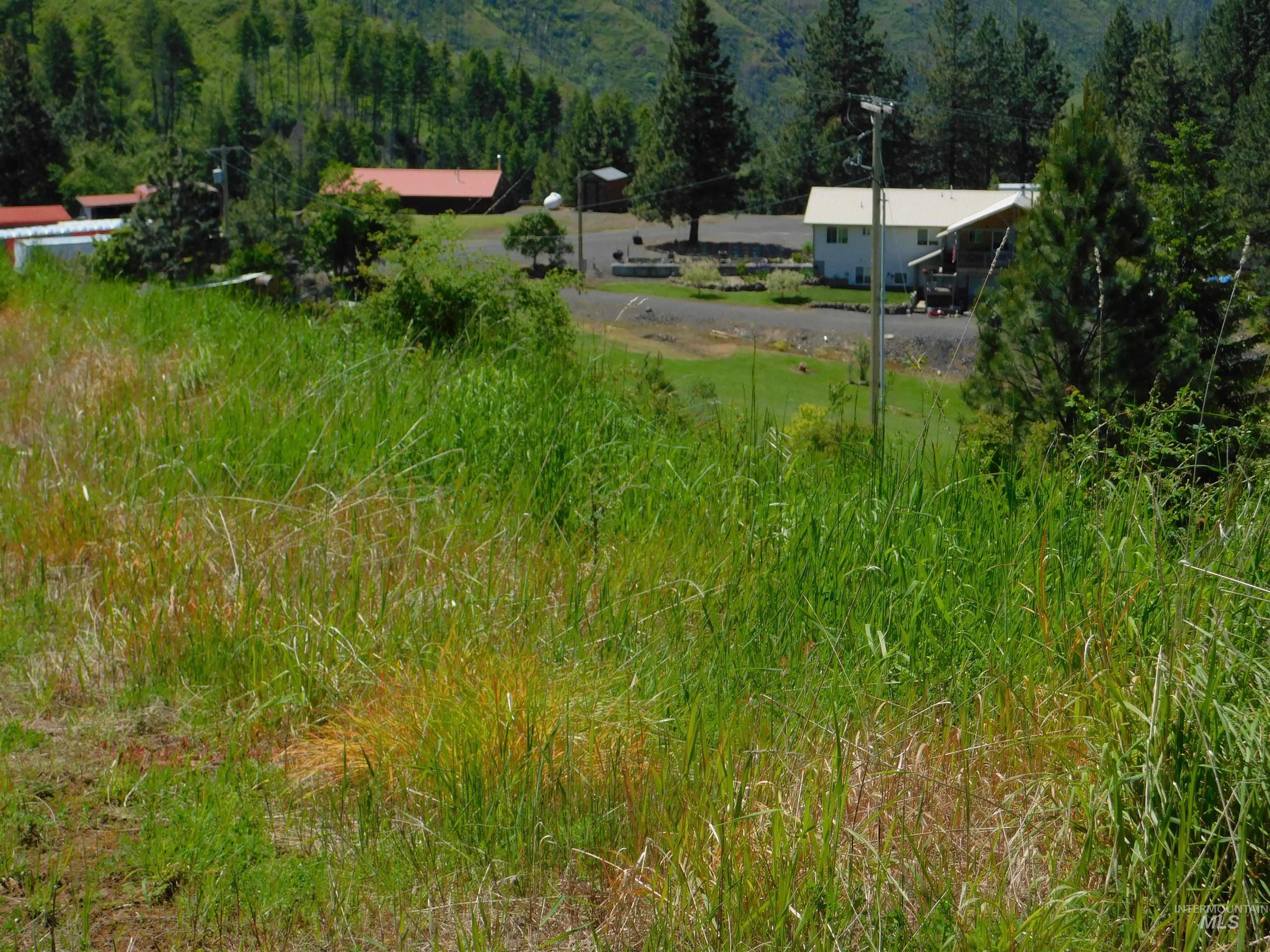 Lot 25 Shenandoah, Kamiah, Idaho 83536, Land For Sale, Price $119,900, 98942817