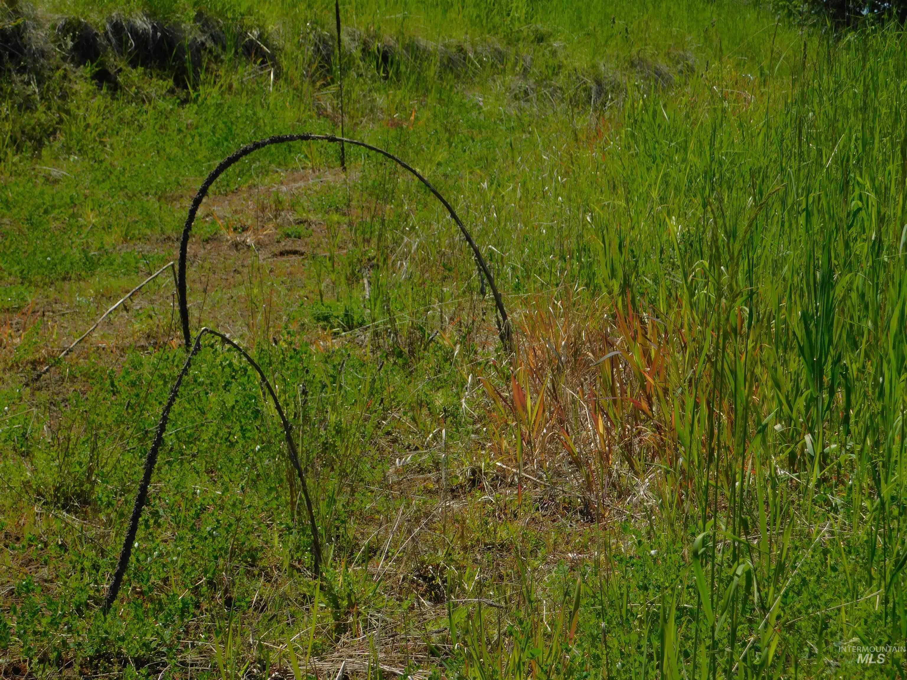 Lot 25 Shenandoah, Kamiah, Idaho 83536, Land For Sale, Price $119,900, 98942817