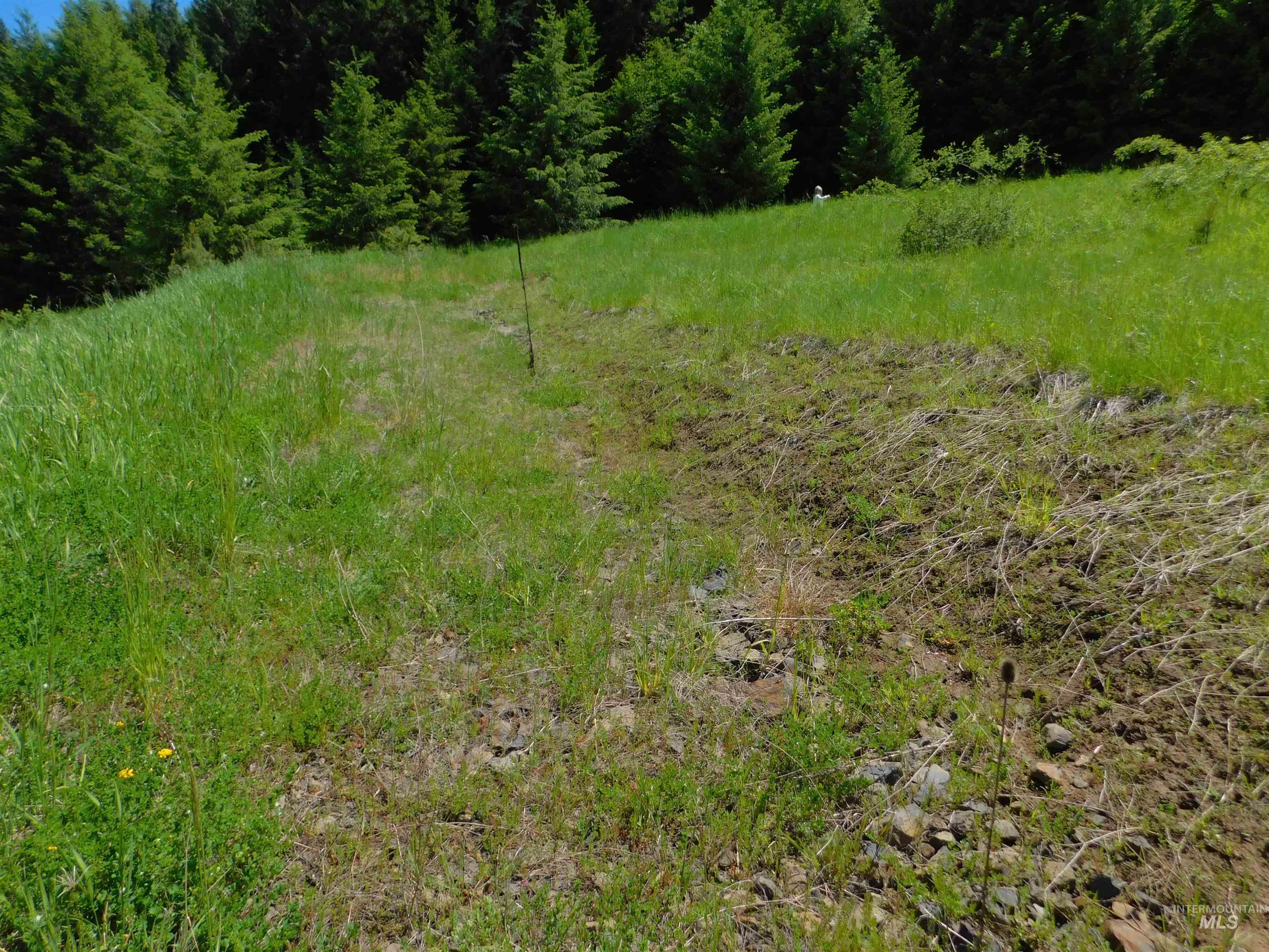 Lot 25 Shenandoah, Kamiah, Idaho 83536, Land For Sale, Price $119,900, 98942817