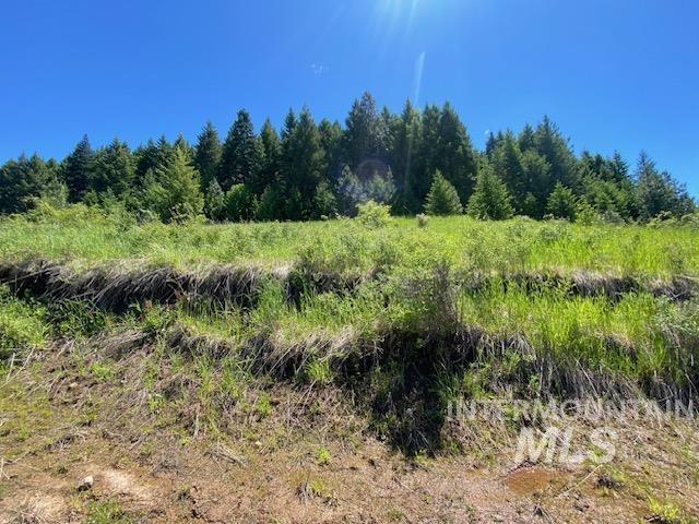 Lot 25 Shenandoah, Kamiah, Idaho 83536, Land For Sale, Price $119,900, 98942817