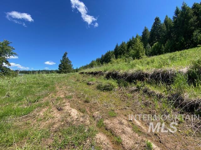 Lot 25 Shenandoah, Kamiah, Idaho 83536, Land For Sale, Price $119,900, 98942817