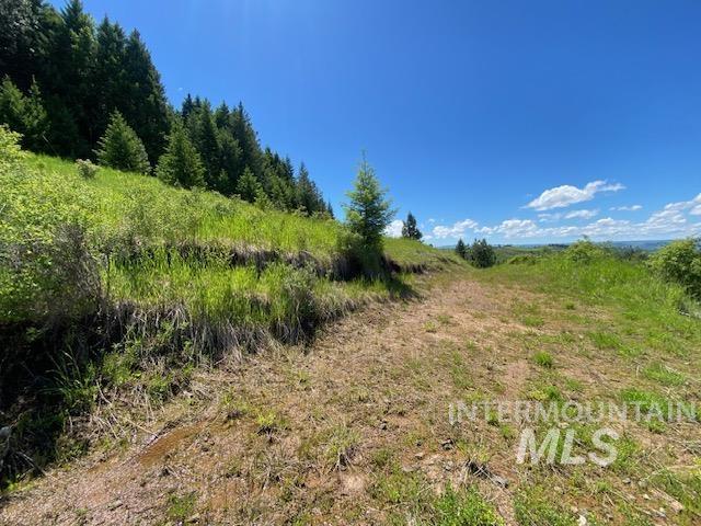 Lot 25 Shenandoah, Kamiah, Idaho 83536, Land For Sale, Price $119,900, 98942817