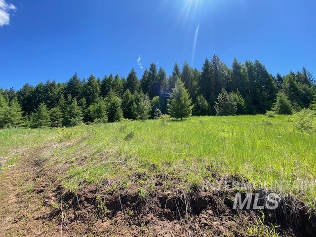 Lot 25 Shenandoah, Kamiah, Idaho 83536, Land For Sale, Price $119,900, 98942817