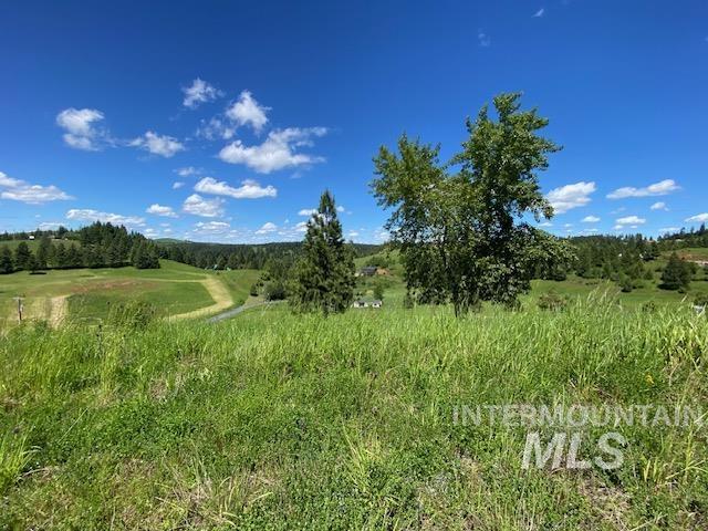 Lot 25 Shenandoah, Kamiah, Idaho 83536, Land For Sale, Price $119,900, 98942817