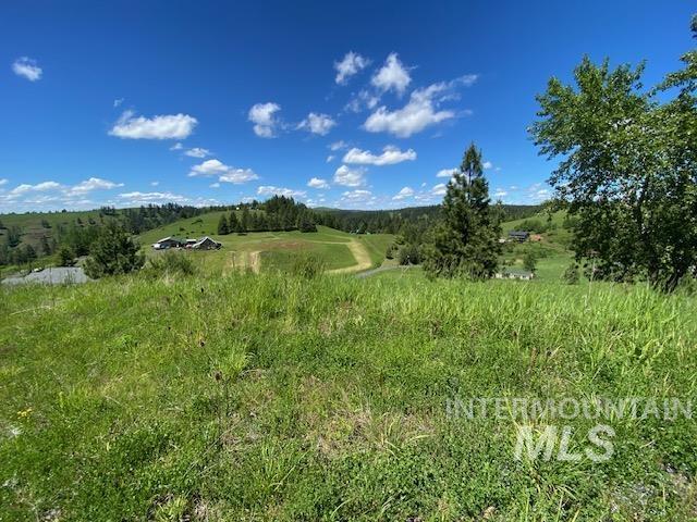 Lot 25 Shenandoah, Kamiah, Idaho 83536, Land For Sale, Price $119,900, 98942817