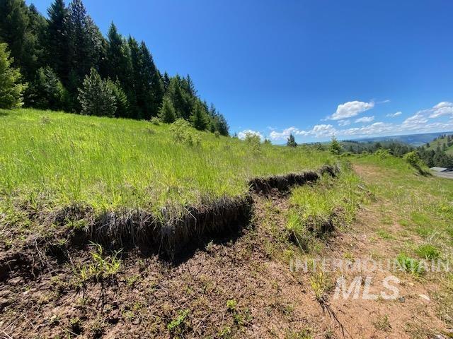 Lot 25 Shenandoah, Kamiah, Idaho 83536, Land For Sale, Price $119,900, 98942817