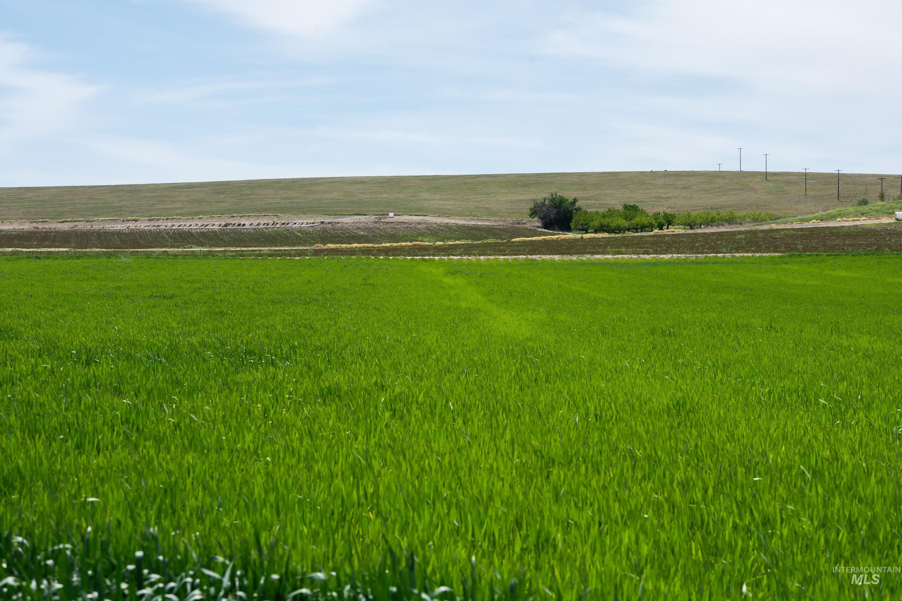 13005 Lake Shore Dr., Nampa, Idaho 83686, 3 Bedrooms, 3 Bathrooms, Residential For Sale, Price $2,650,000,MLS 98942917