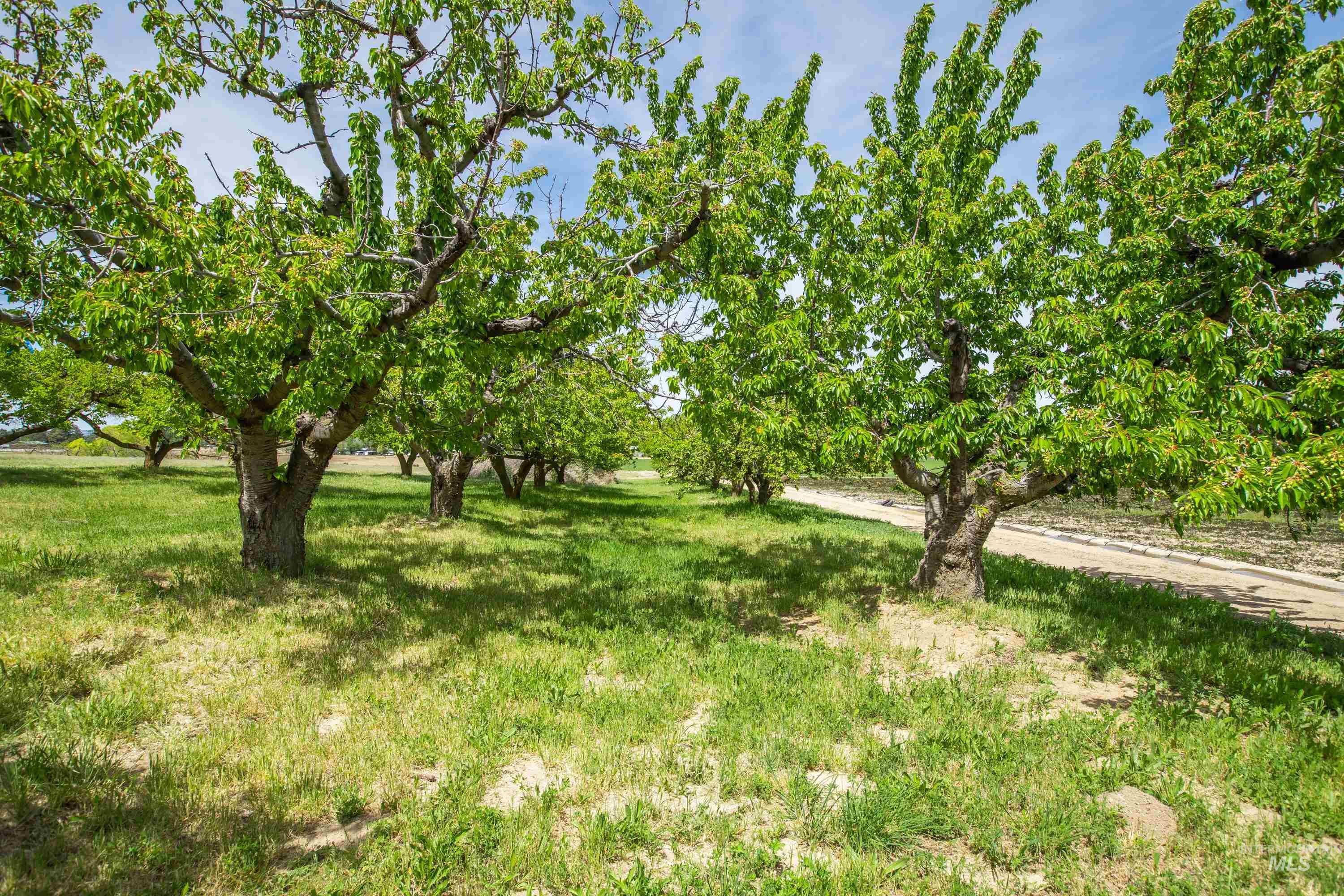 13005 Lake Shore Dr., Nampa, Idaho 83686, 3 Bedrooms, 3 Bathrooms, Residential For Sale, Price $2,650,000,MLS 98942917