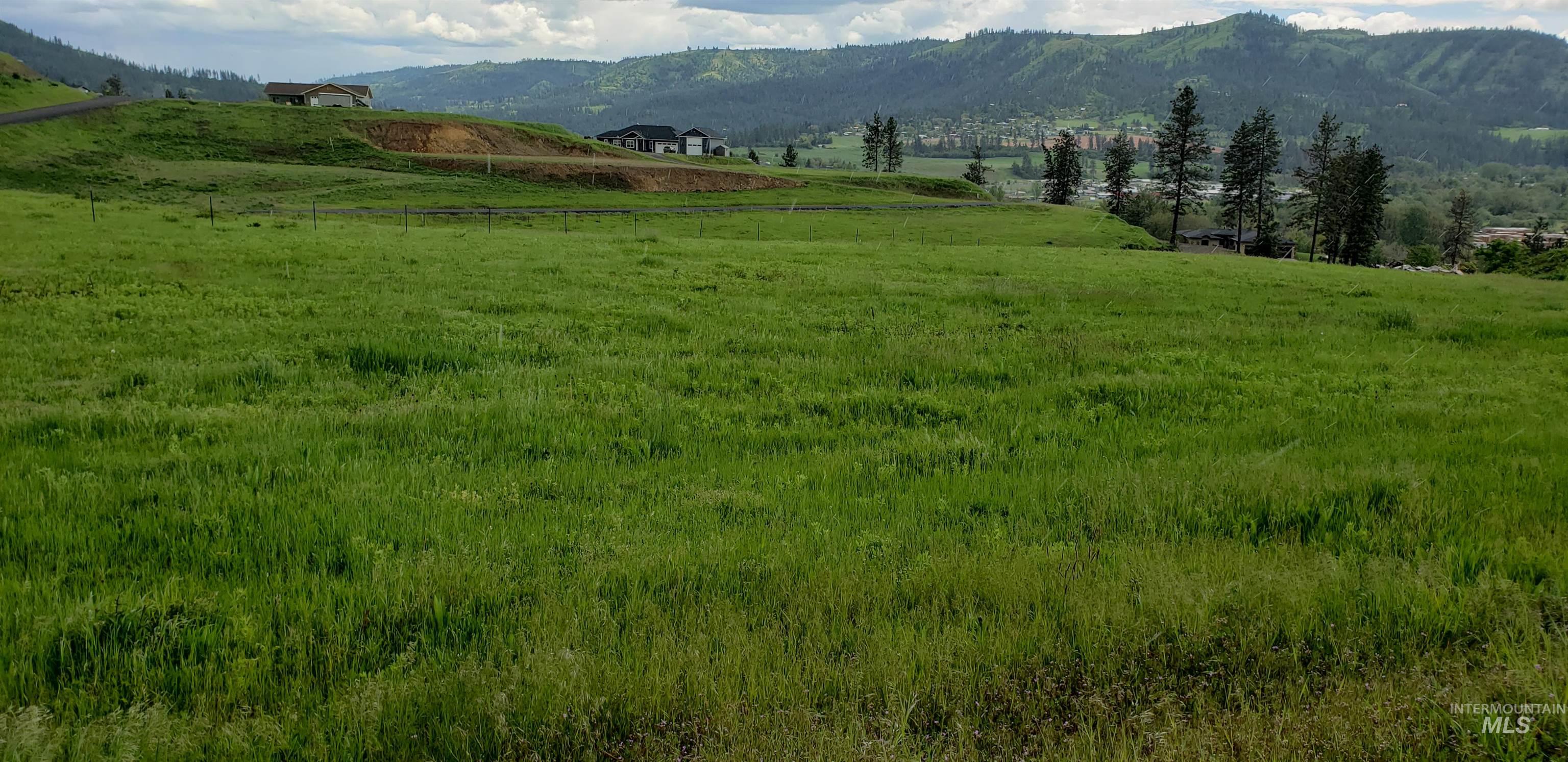 TBD River View Dr, Kamiah, Idaho 83536, Land For Sale, Price $135,000, 98943061