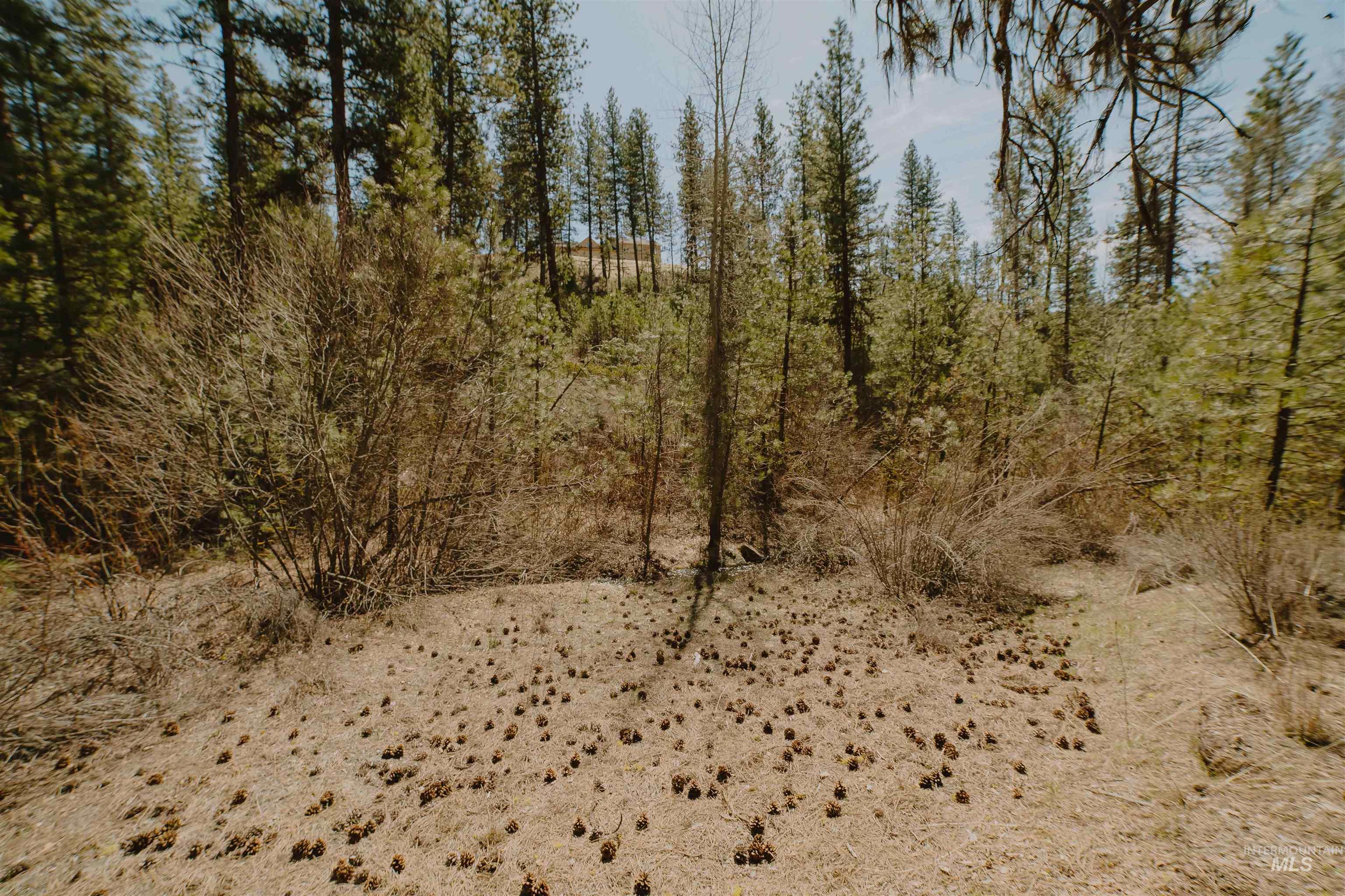 Lot 13, Boise, Idaho 83716, Land For Sale, Price $219,999, 98943626