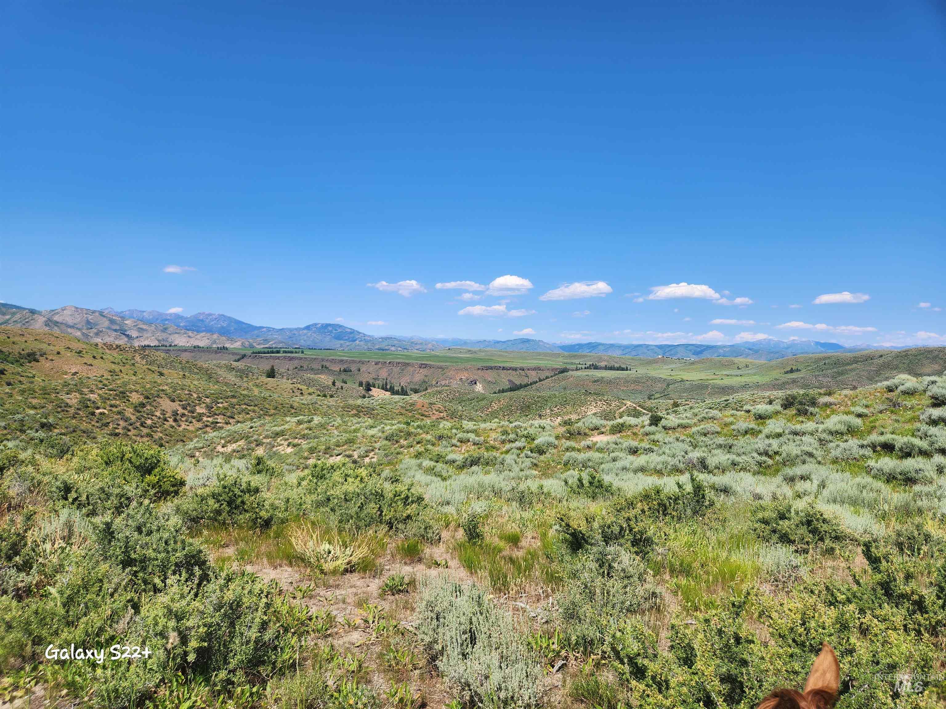 Ray Hunt Ranch, Mountain Home, Idaho 83647, 3 Bedrooms, 3 Bathrooms, Farm & Ranch For Sale, Price $4,500,000,MLS 98943743