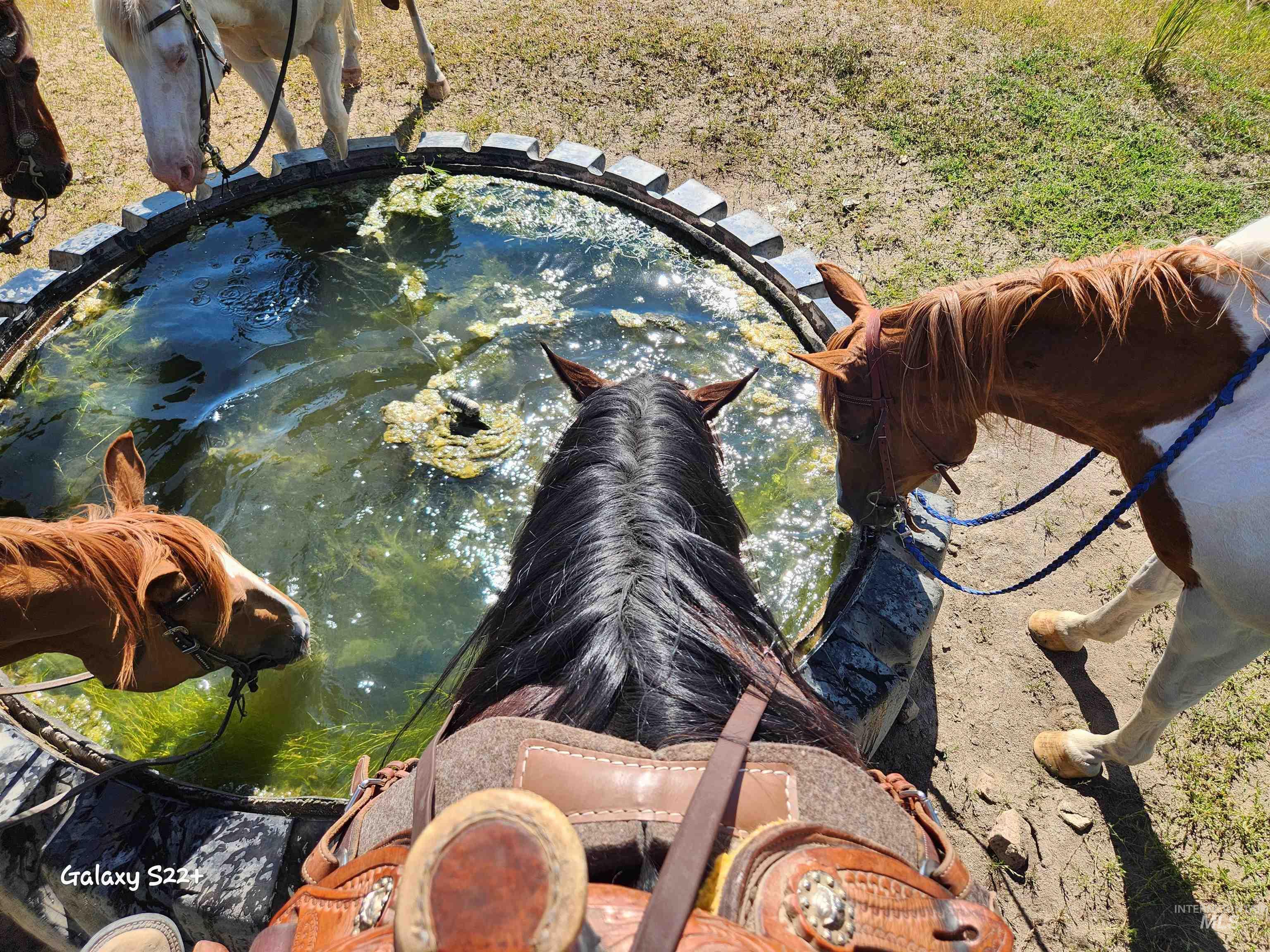 Ray Hunt Ranch, Mountain Home, Idaho 83647, 3 Bedrooms, 3 Bathrooms, Farm & Ranch For Sale, Price $4,500,000,MLS 98943743